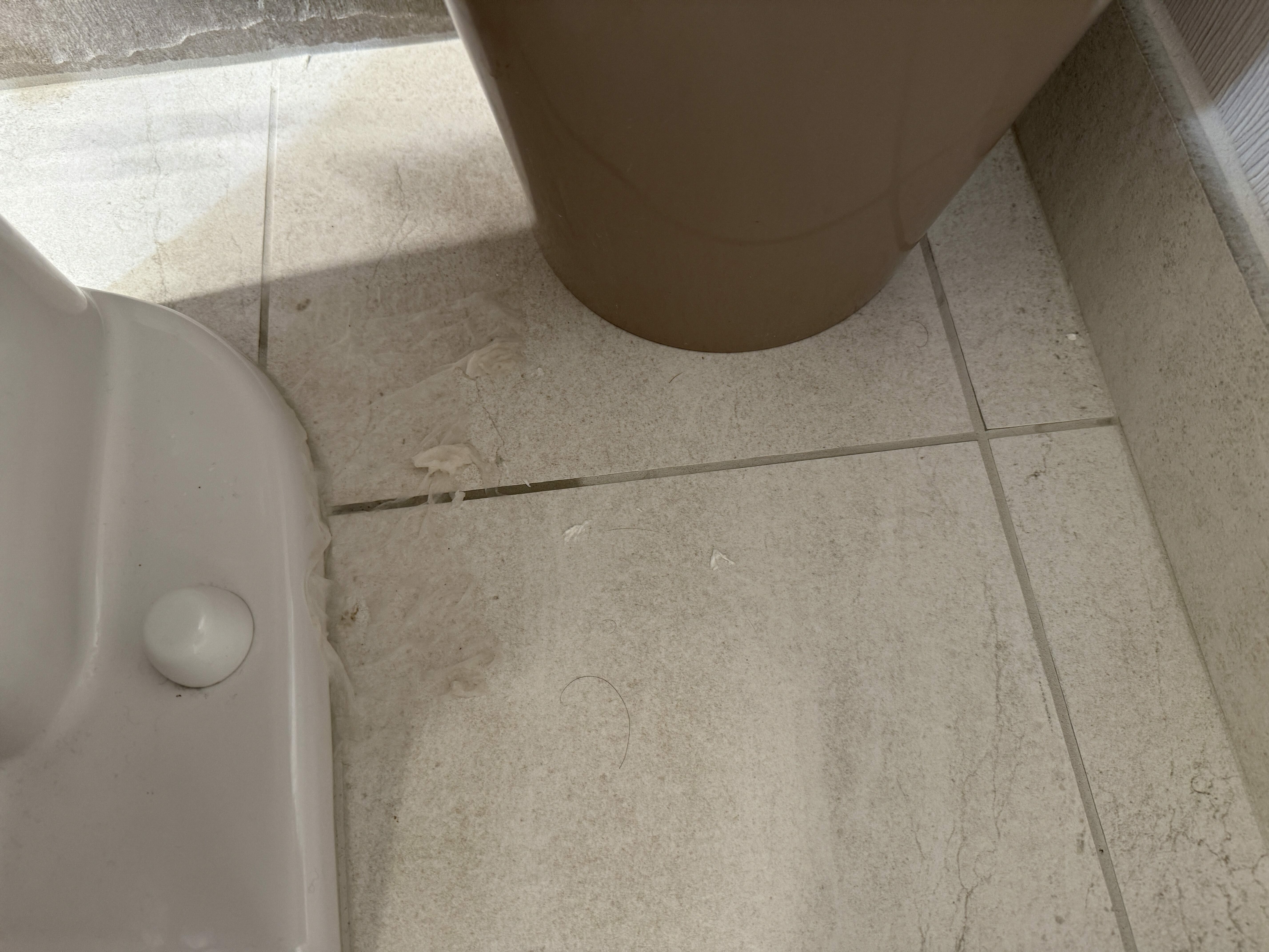 Westin Las Vegas Side of Toilet Westin Las Vegas Side of Toilet