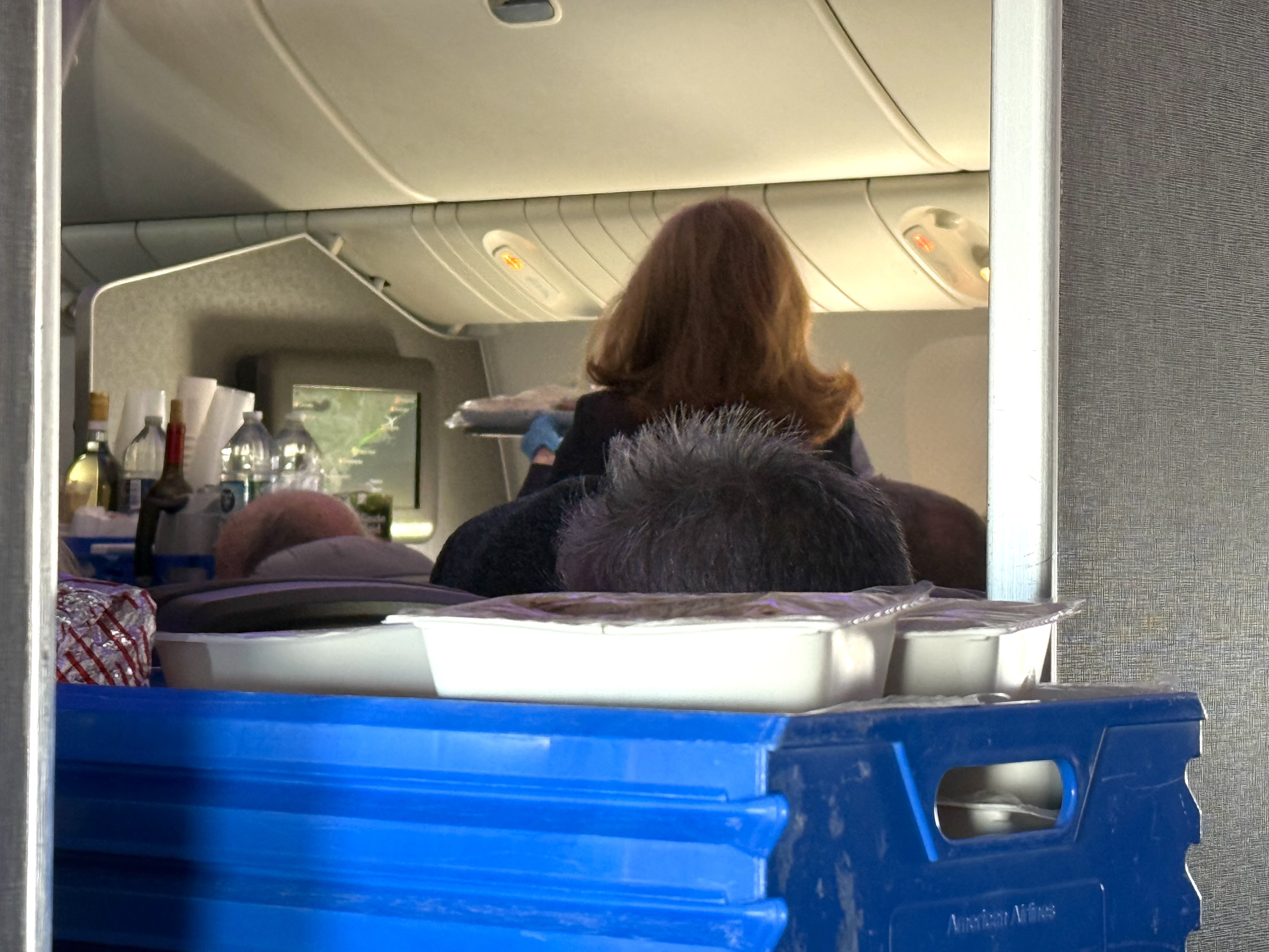 American Airlines economy FnB meal service American Airlines economy FnB meal service
