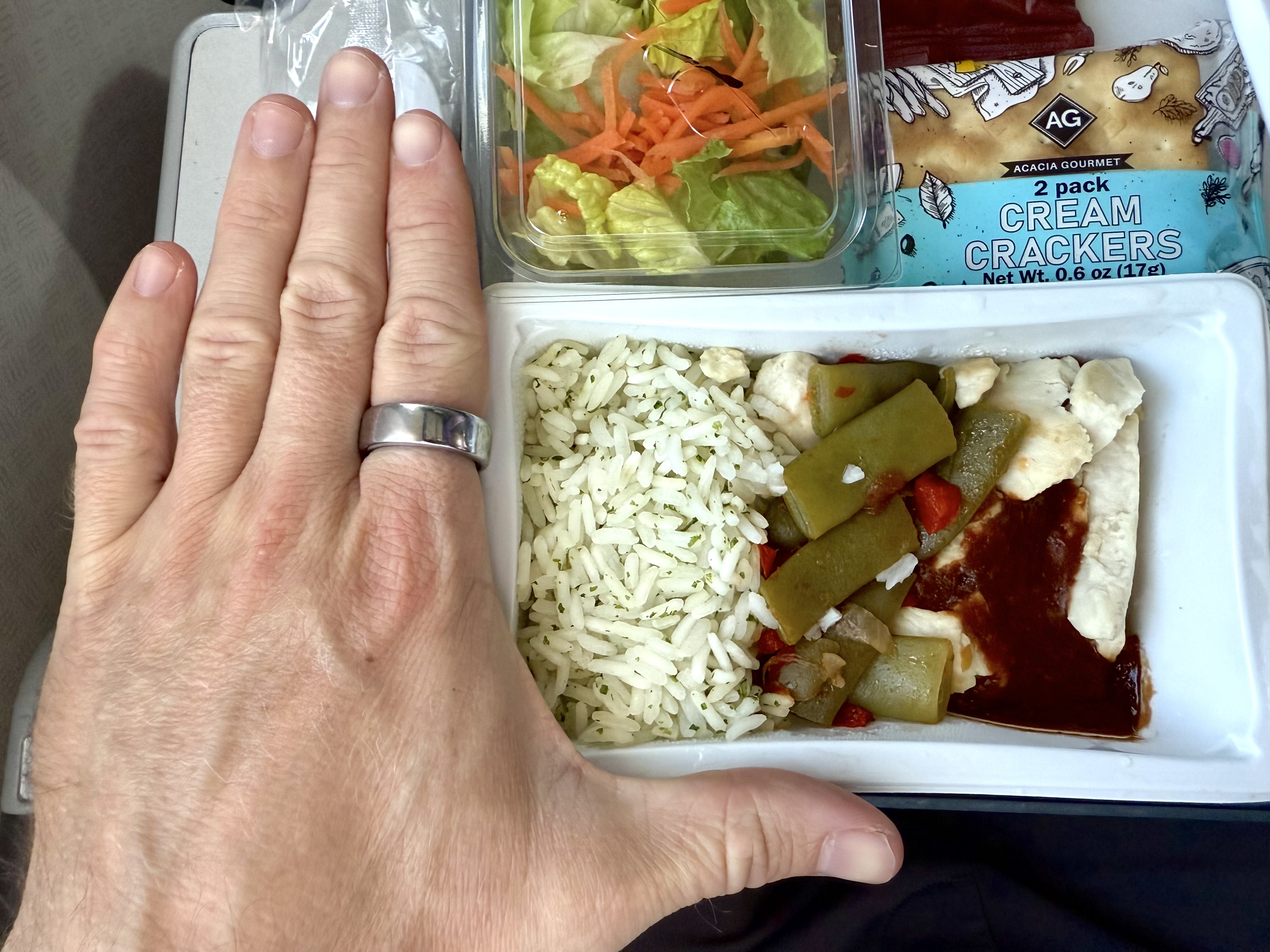 American Airlines economy FnB small meal portion American Airlines economy FnB small meal portion