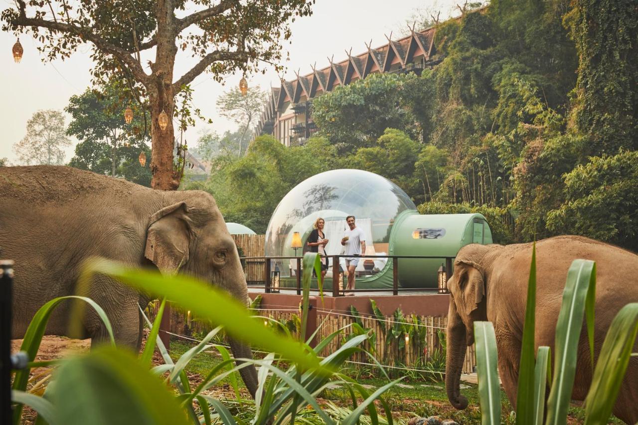Anantara Golden Triangle Elephant Camp Resort Anantara Golden Triangle Elephant Camp Resort