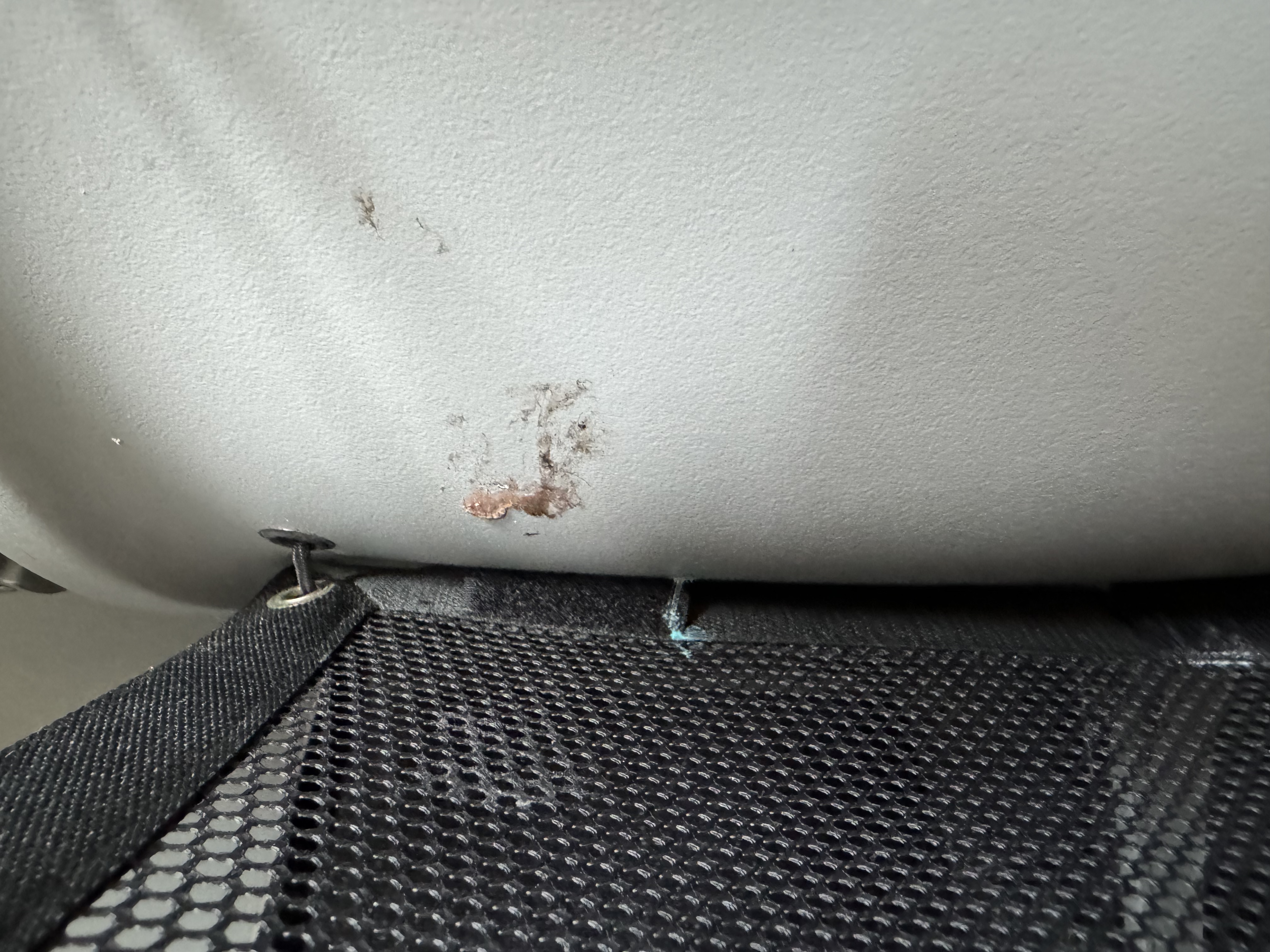 Avianca A320 premium seats gum in pocket Avianca A320 premium seats gum in pocket