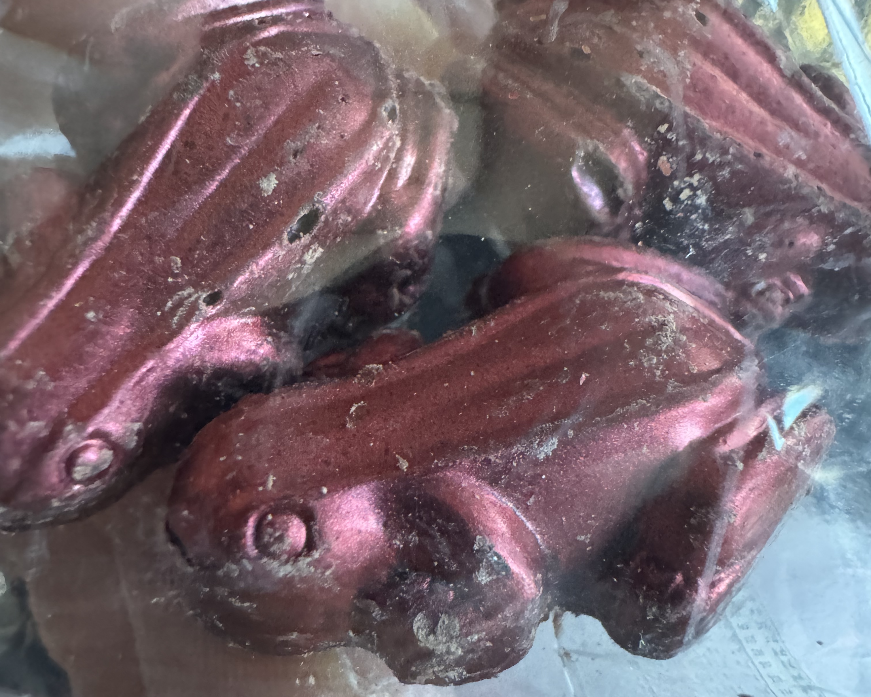 Copa Airlines B737 MAX chocolate frogs Copa Airlines B737 MAX chocolate frogs