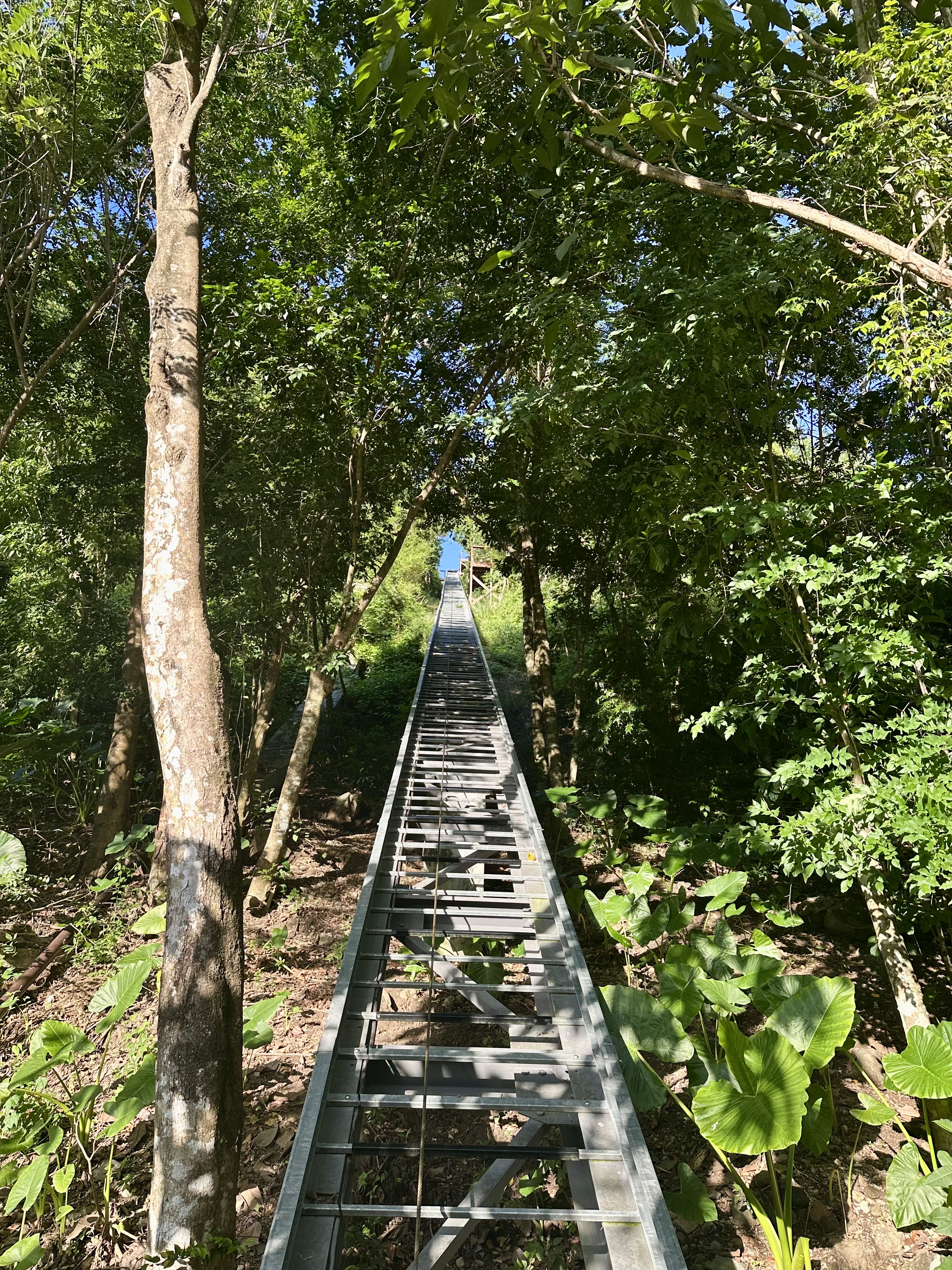 Secret Bay Funicular