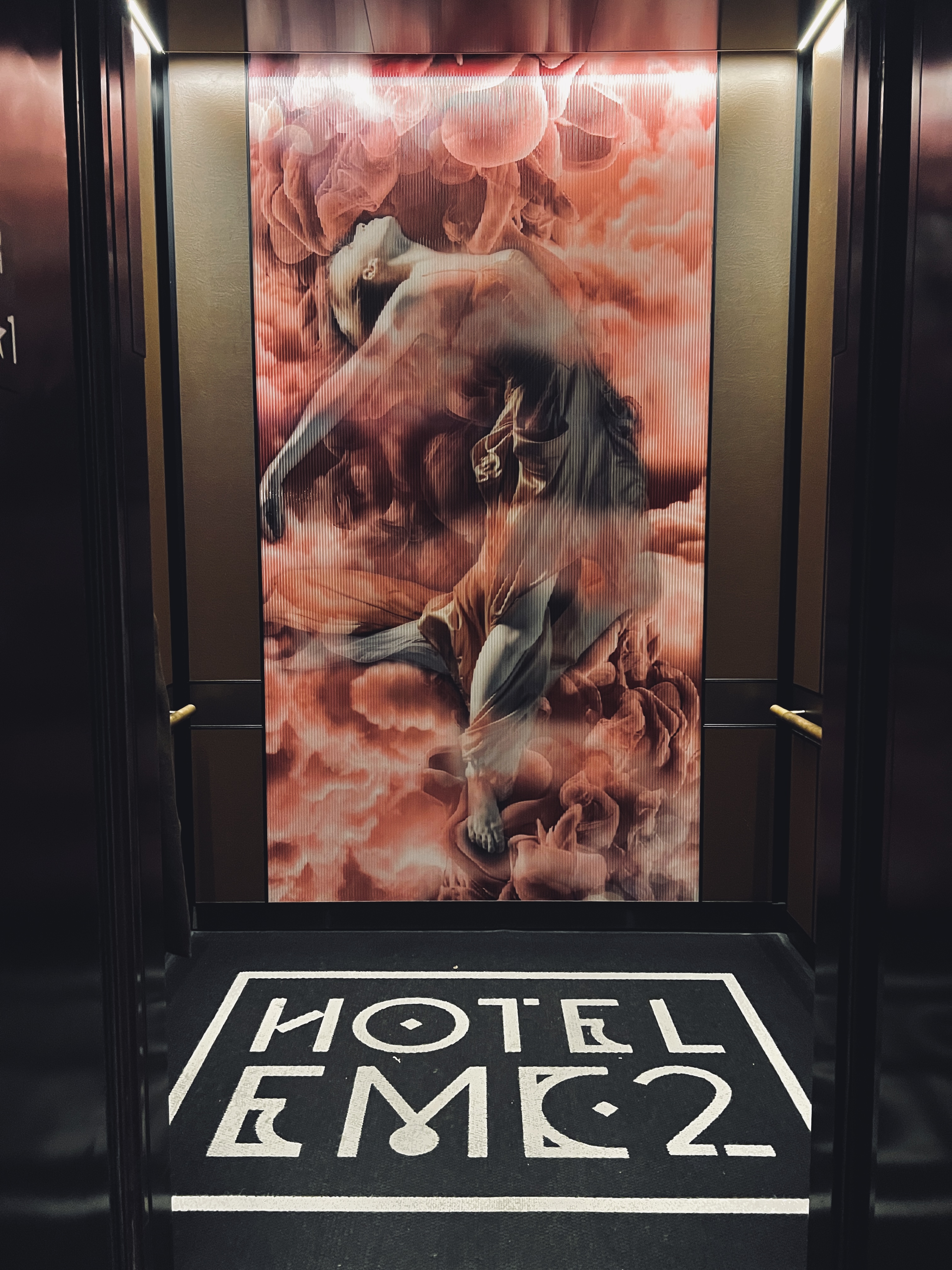Hotel EMC2 Autograph Collection elevator art work Hotel EMC2 Autograph Collection elevator art work