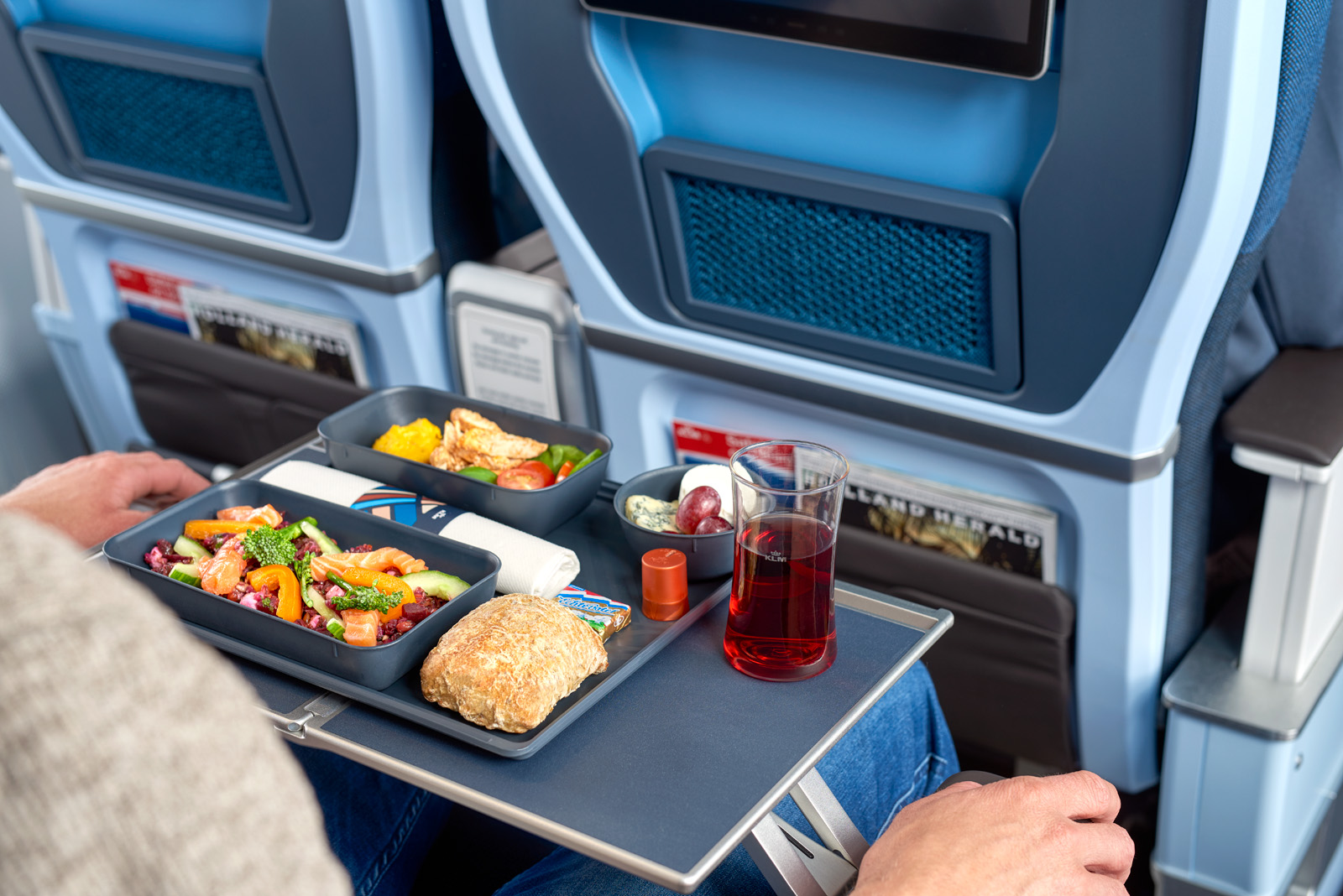 KLM Premium Economy Meal KLM Premium Economy Meal