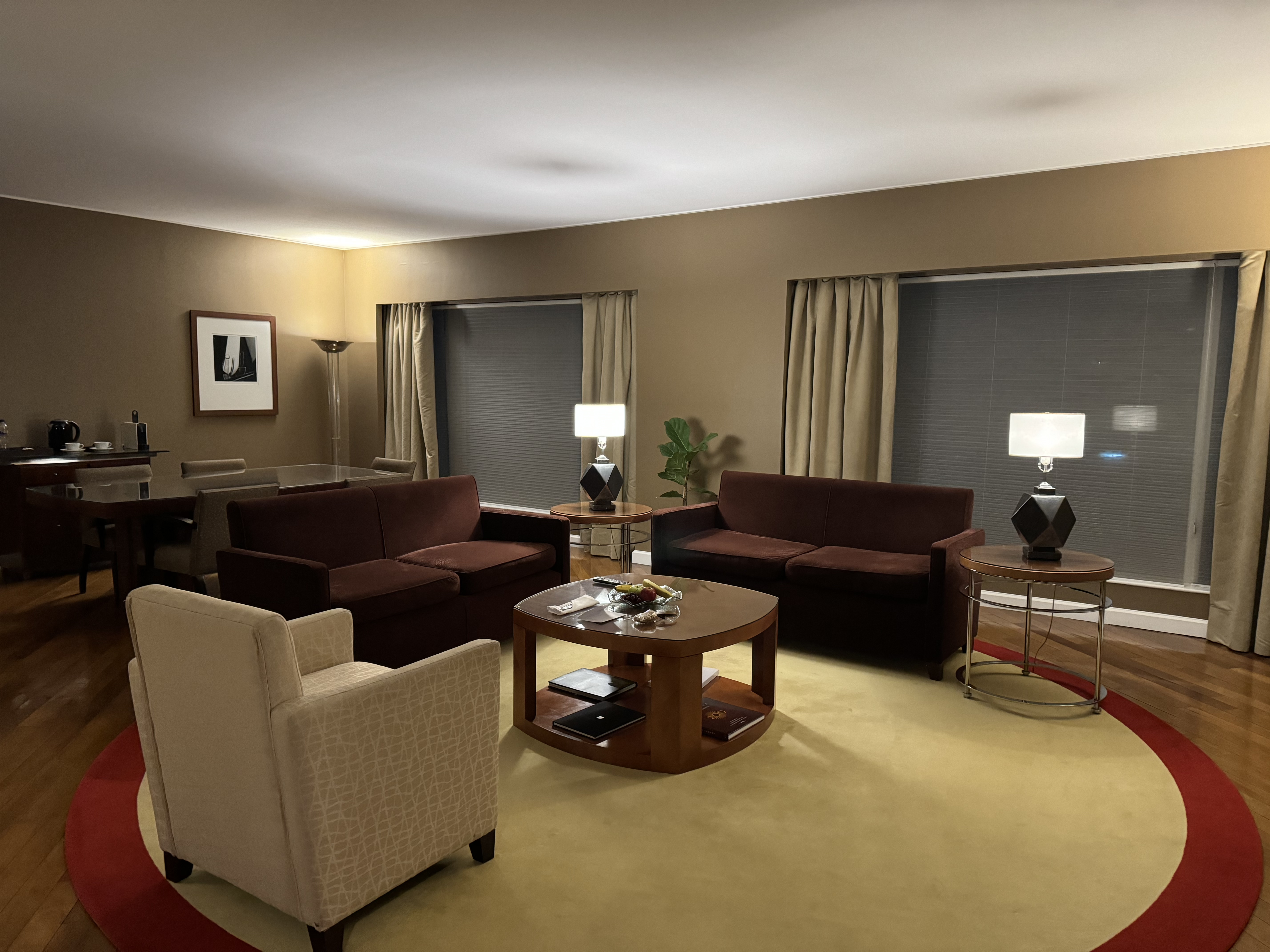 Park Hyatt Mendoza Park Suite living room