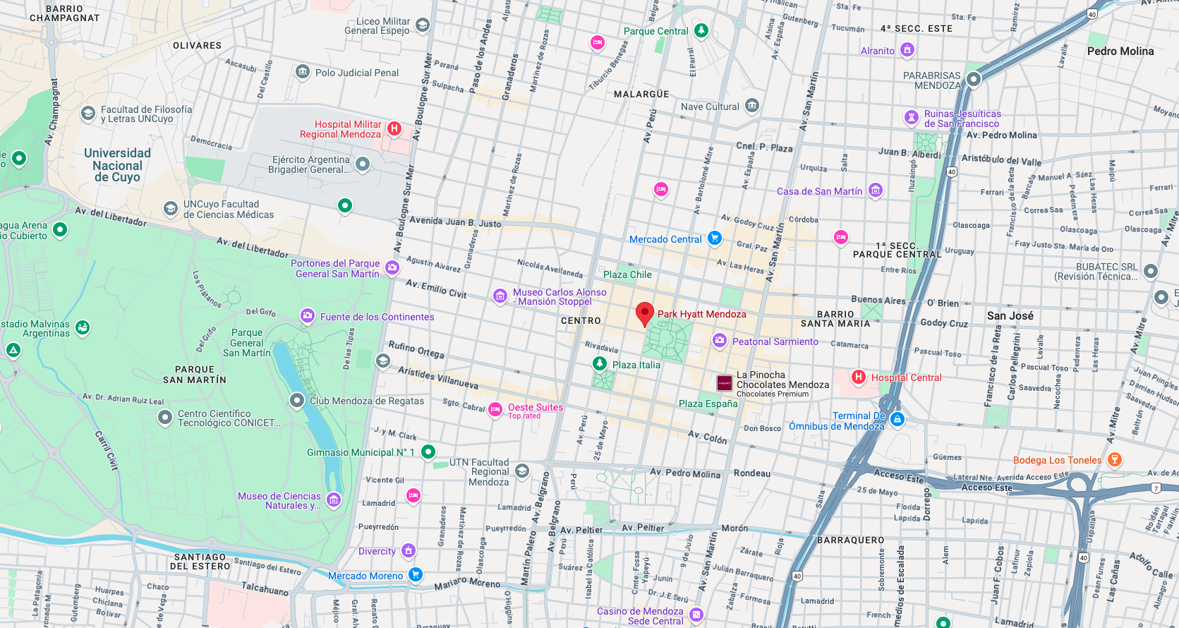 Park Hyatt Mendoza location