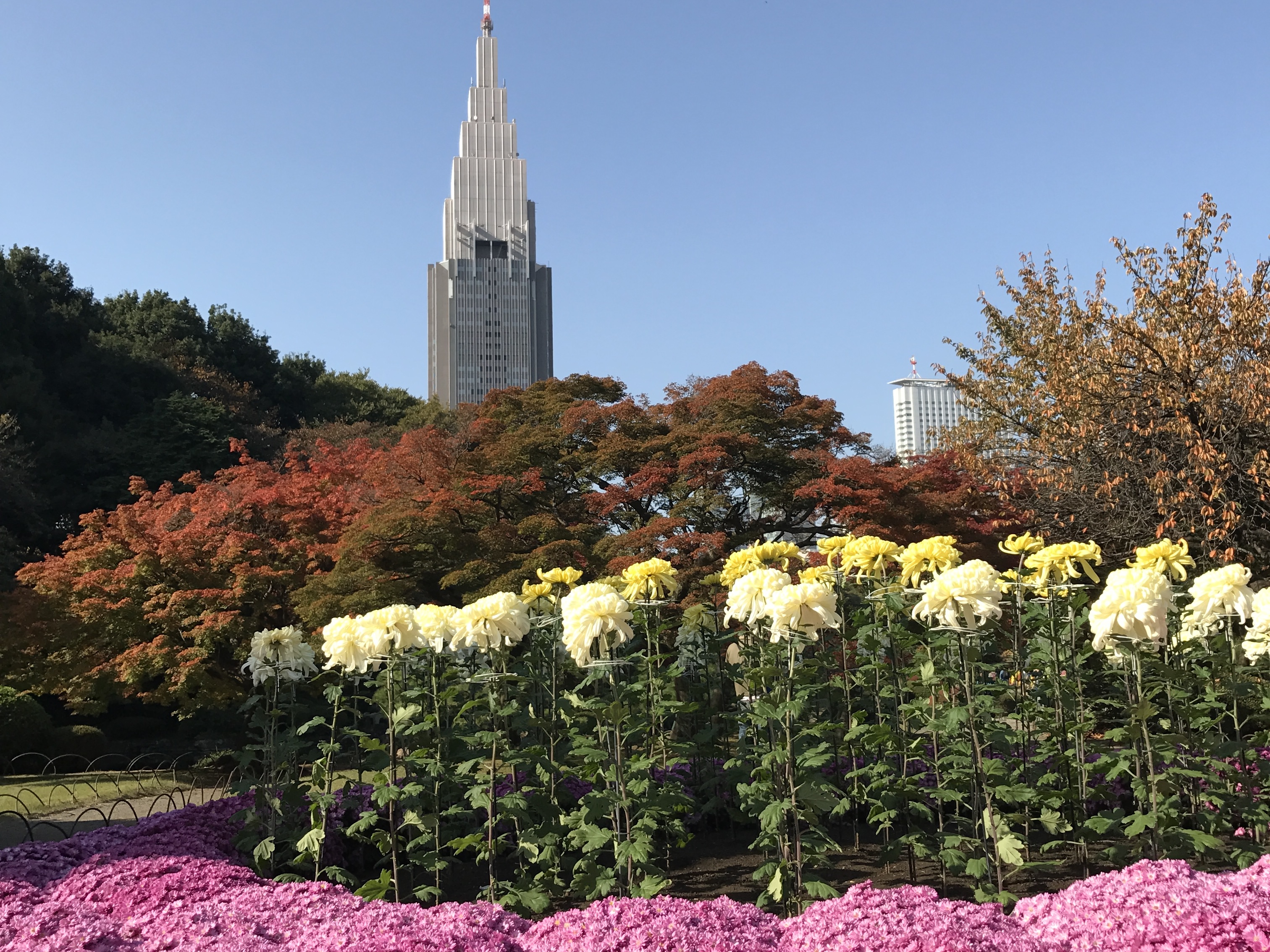 Tokyo Park Tokyo Park