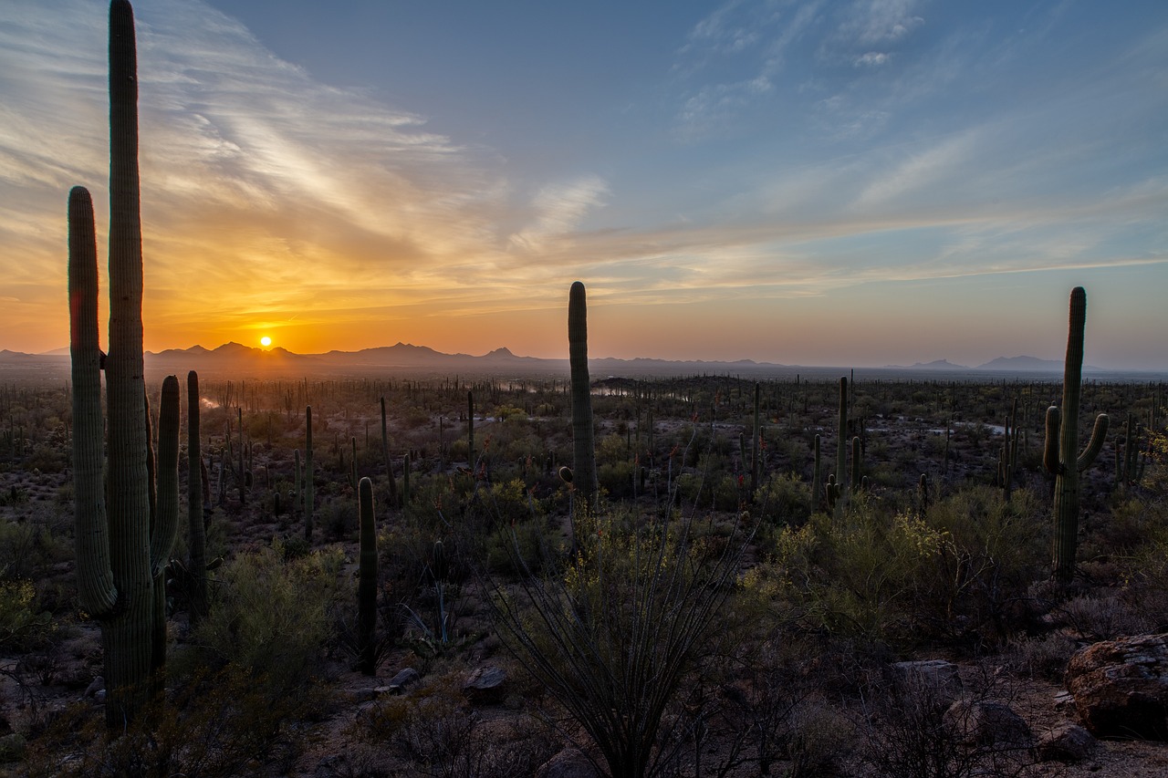 Tucson Arizona Tucson Arizona