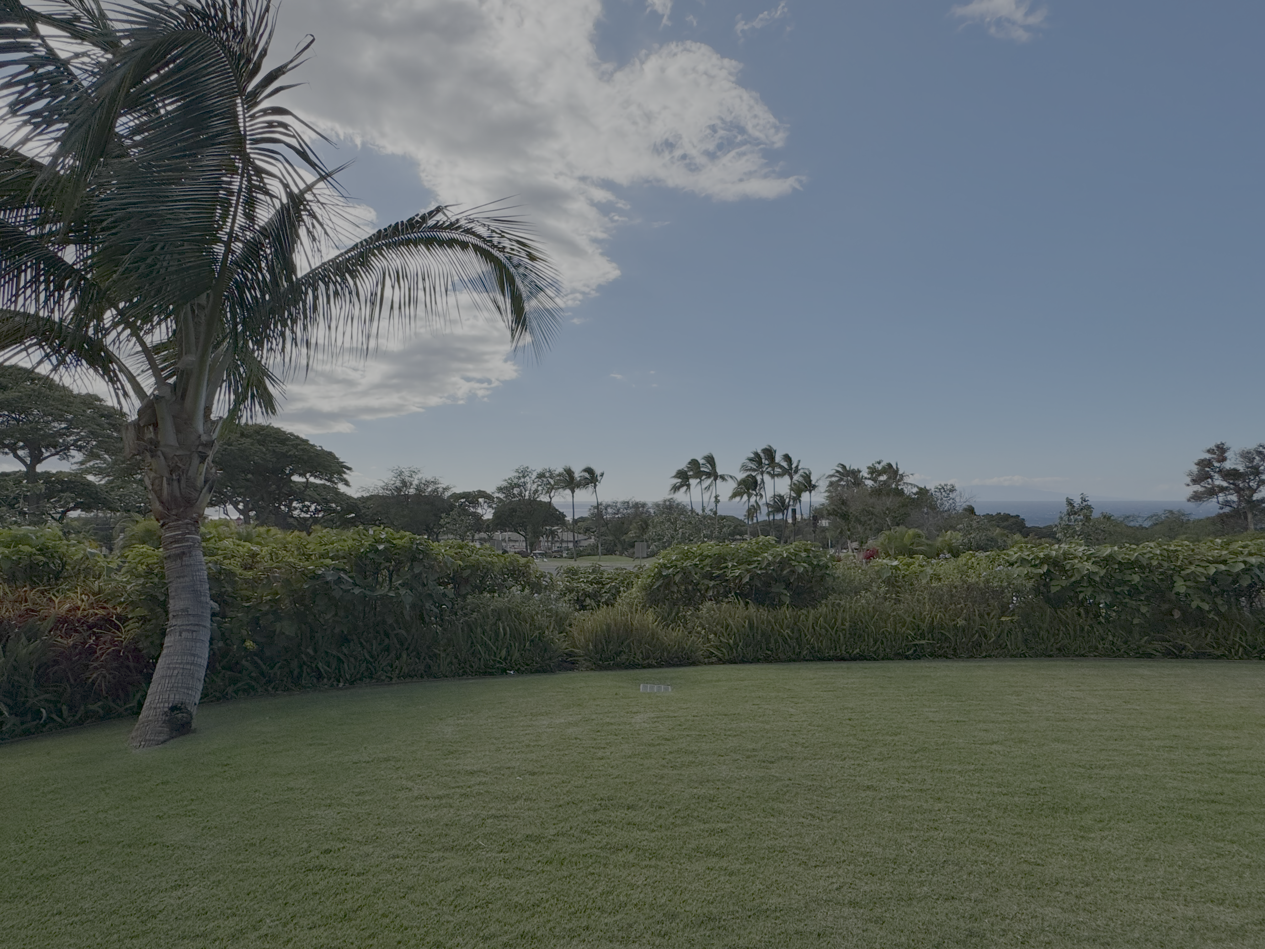 AC Hotel by Marriott Maui Wailea King Ocean View Suite grass area