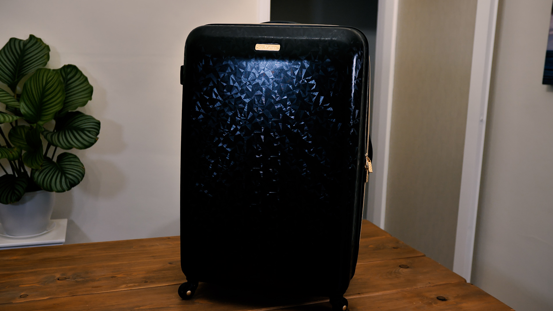 American Tourister Belle Voyage American Tourister Belle Voyage