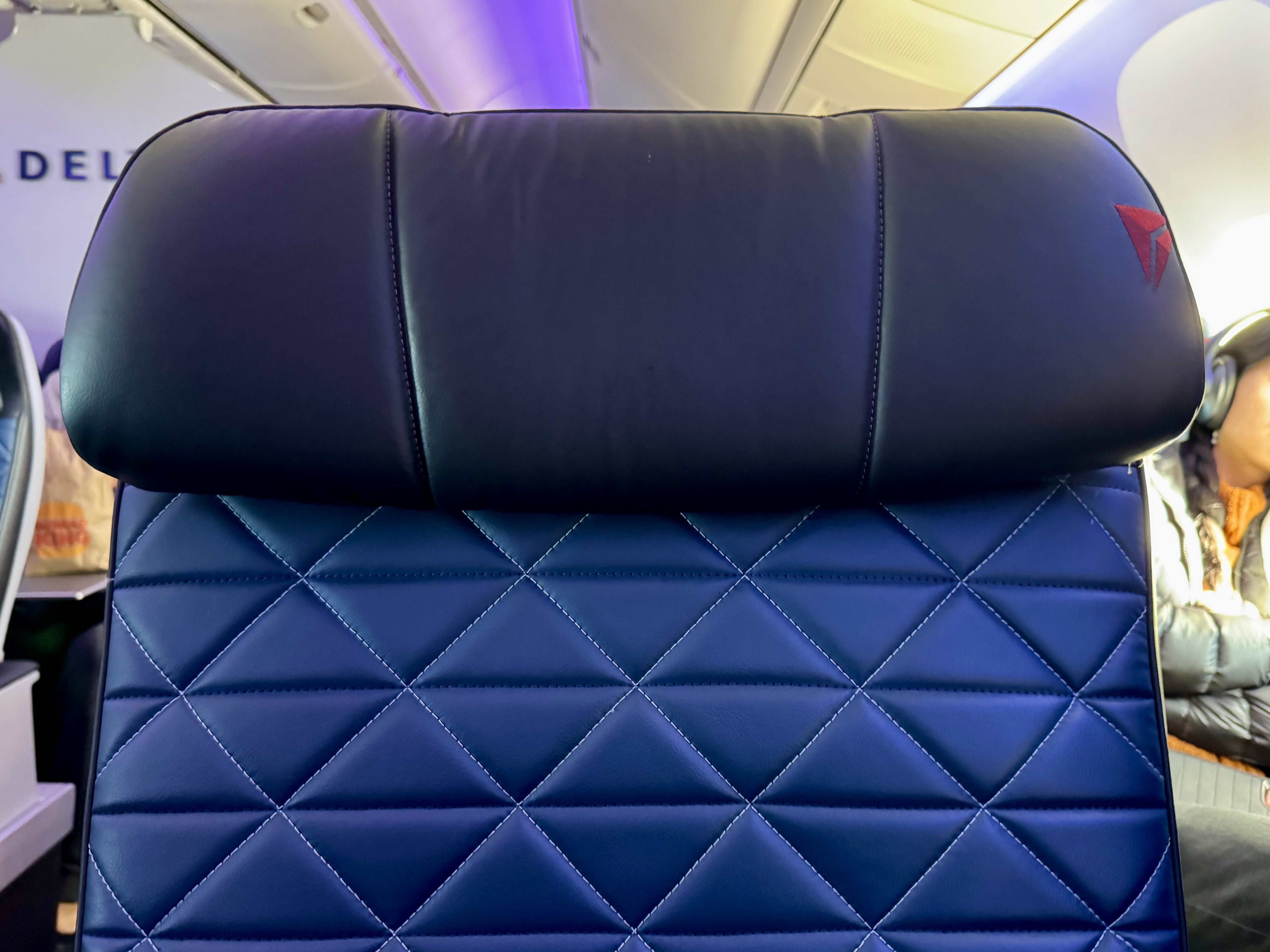 Delta Premium Select Headrest