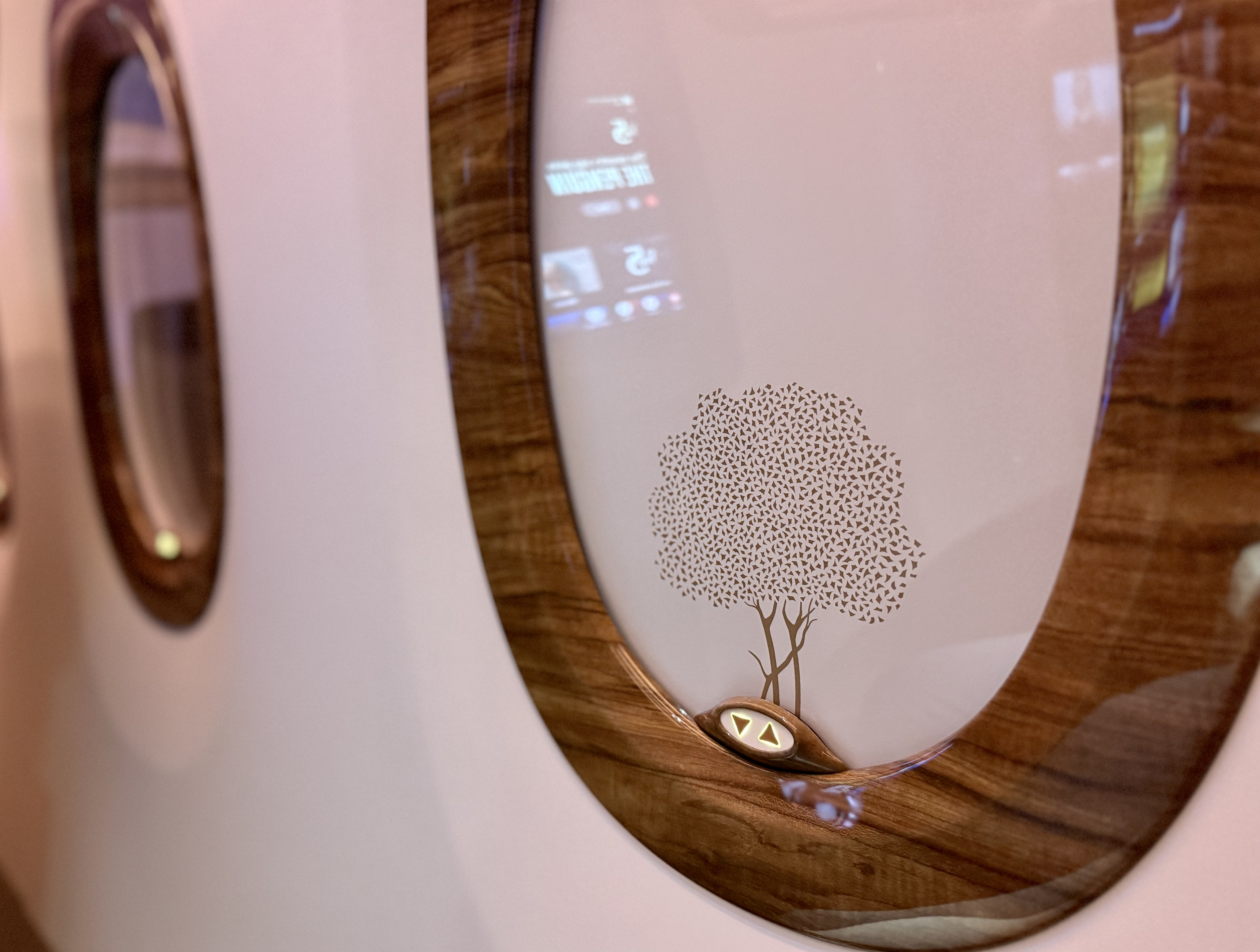 Emirates Airbus A350 business class window shade