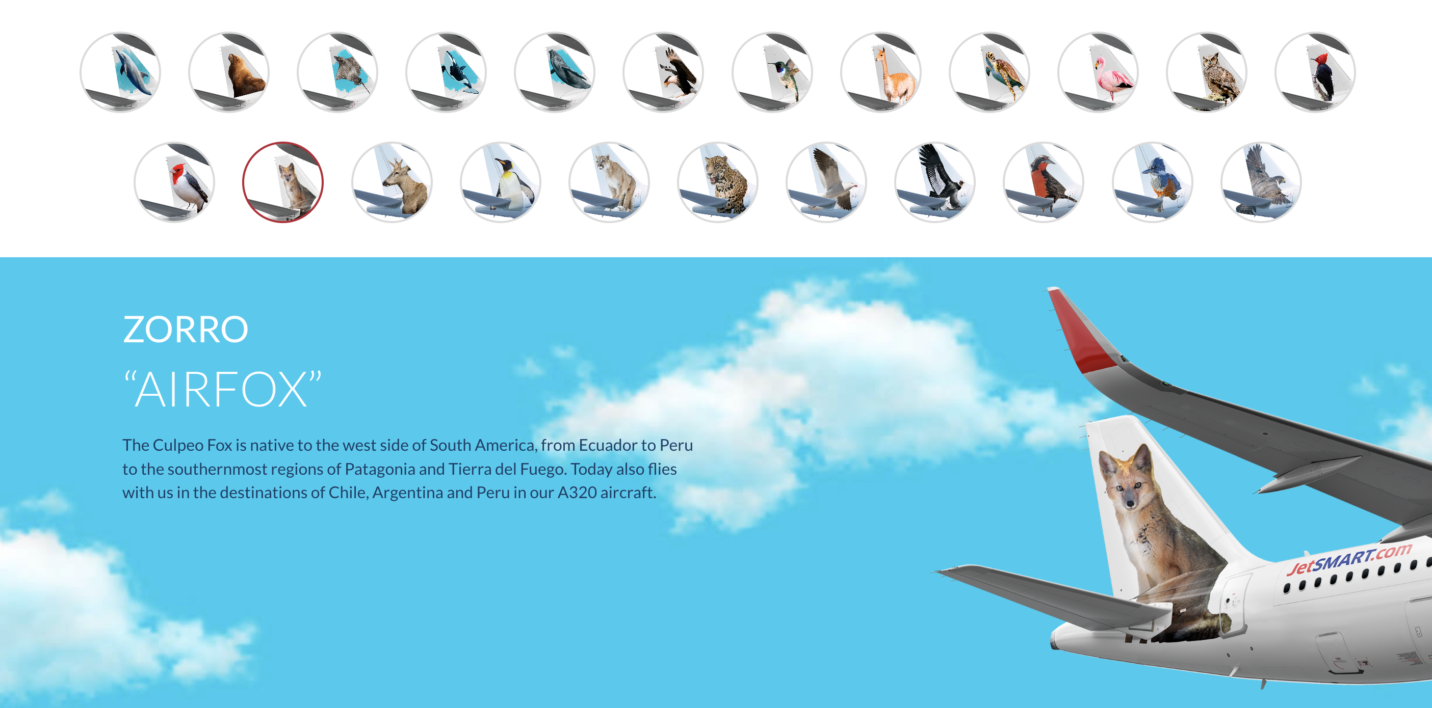 JetSMART livery information