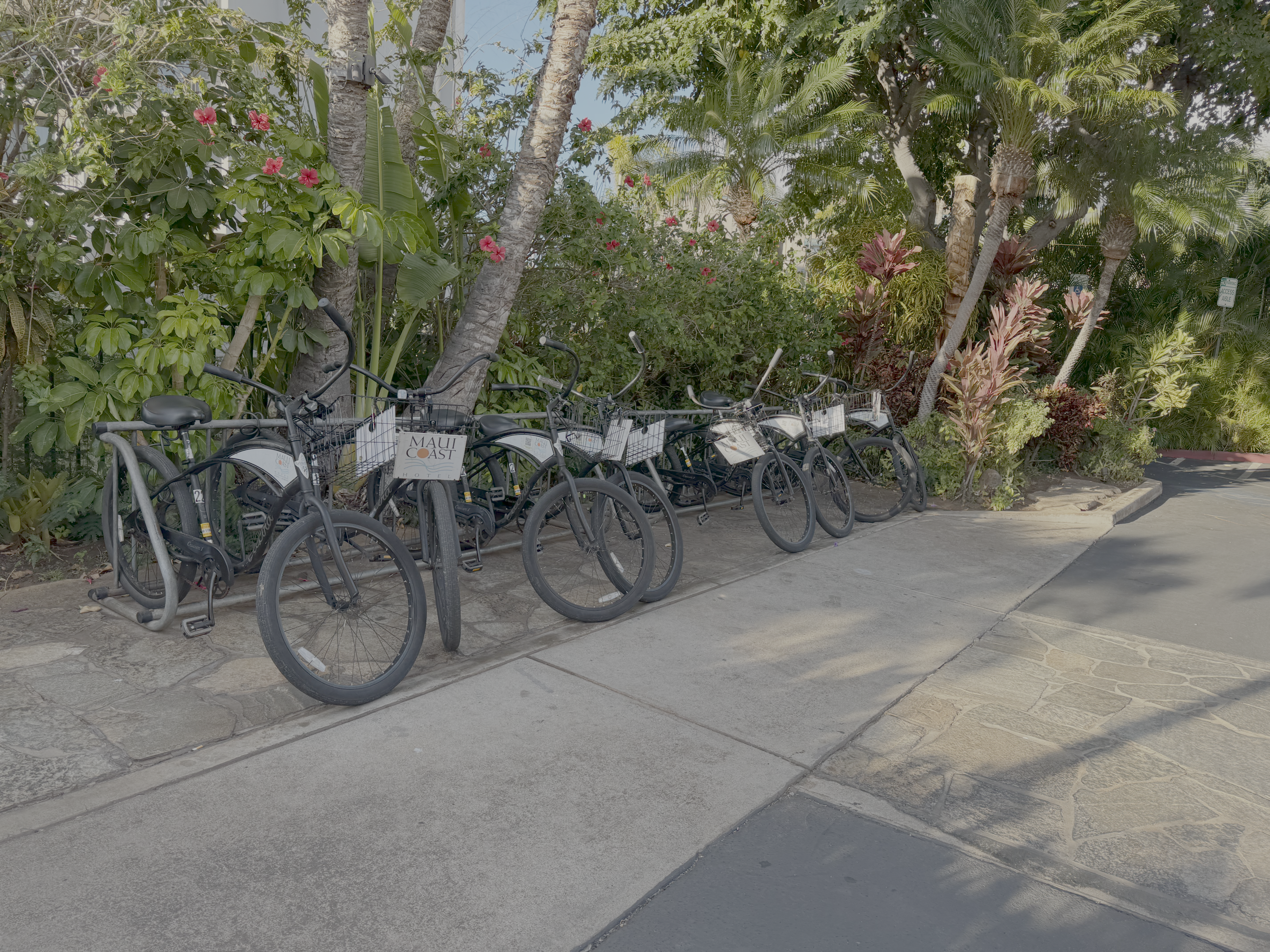 Maui Coast Hotel Kihei bikes