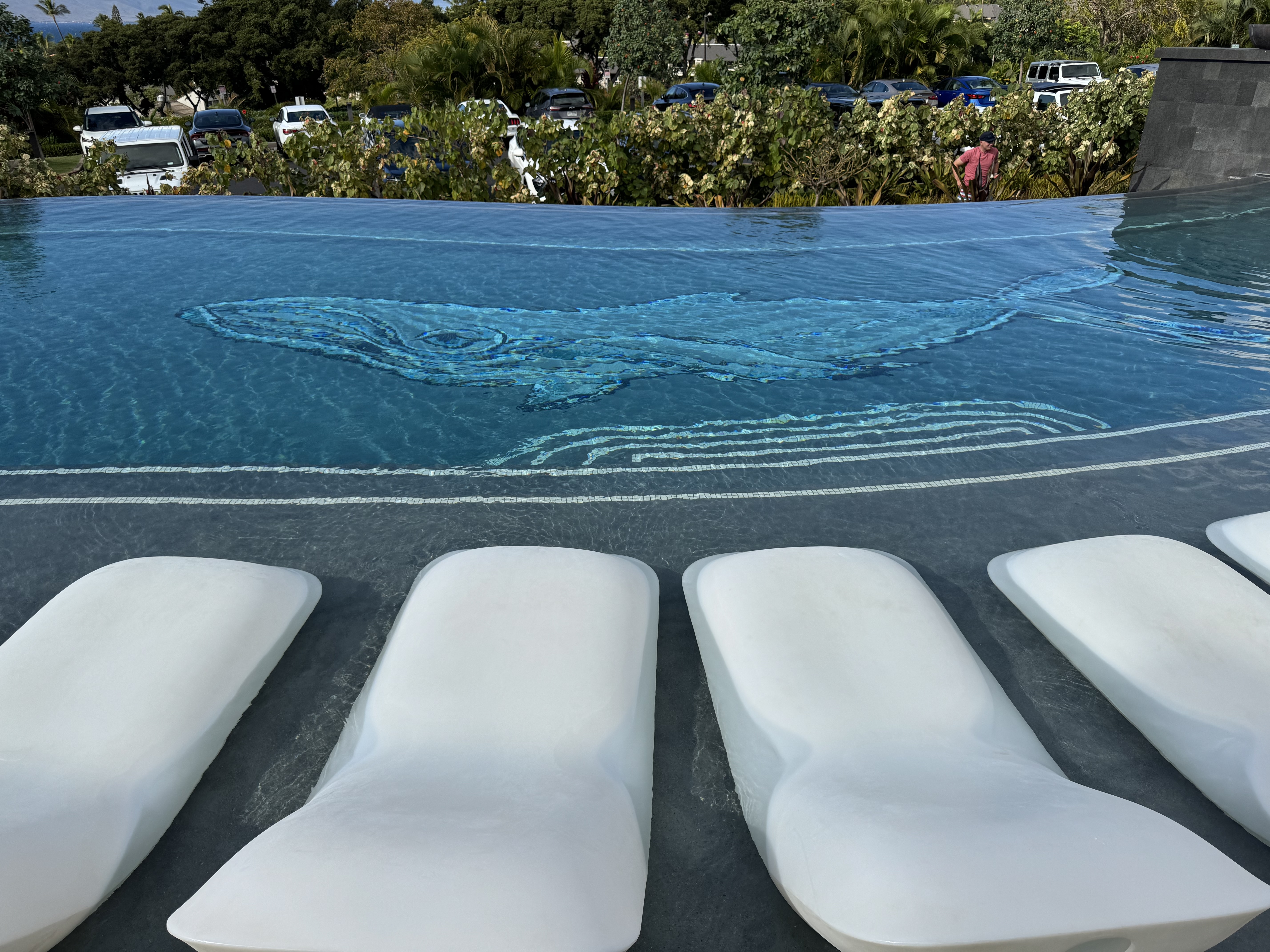 AC Hotel by Marriott Maui Wailea pool whale design