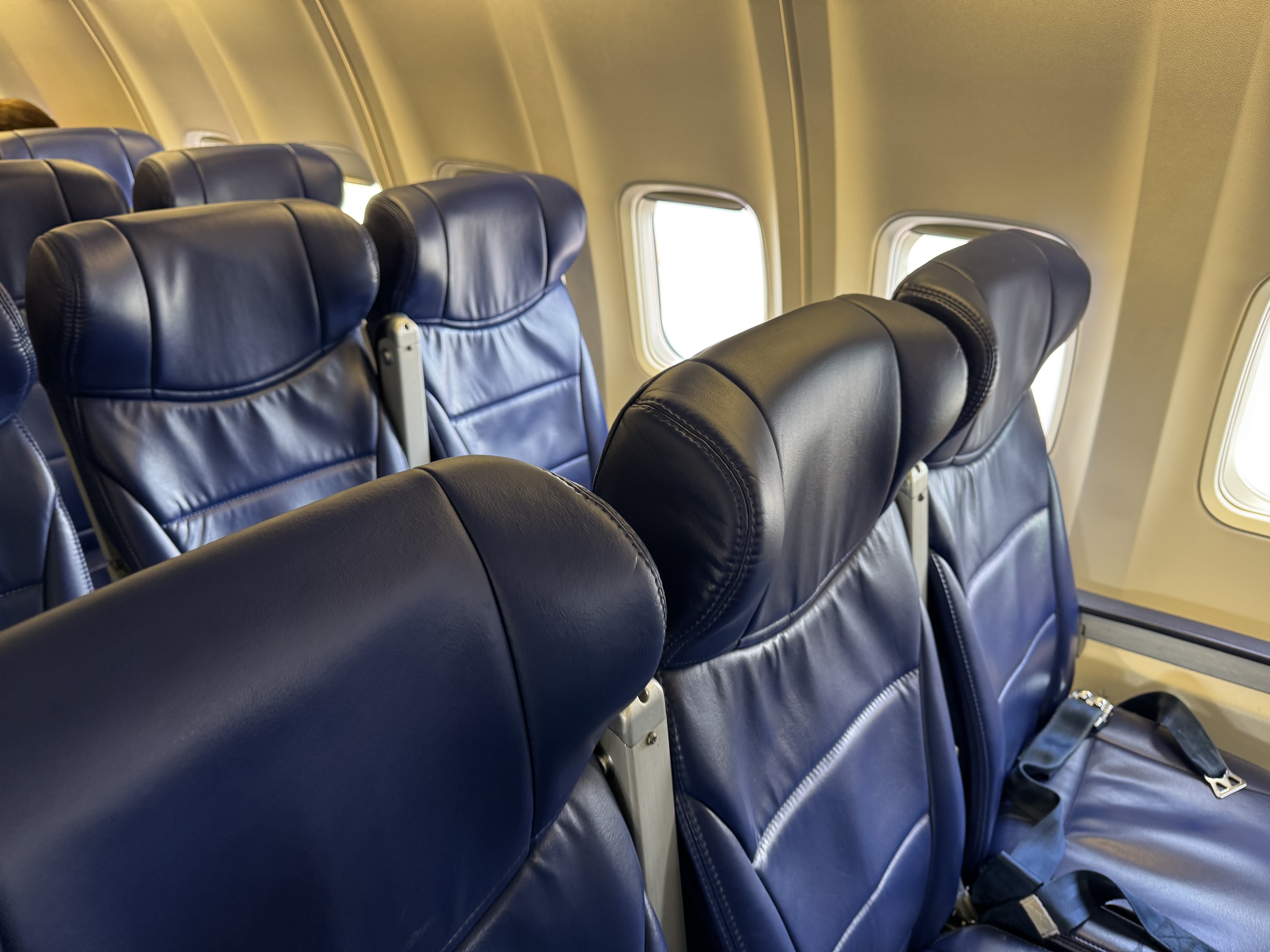 Avelo Airlines B737 7 seating layout