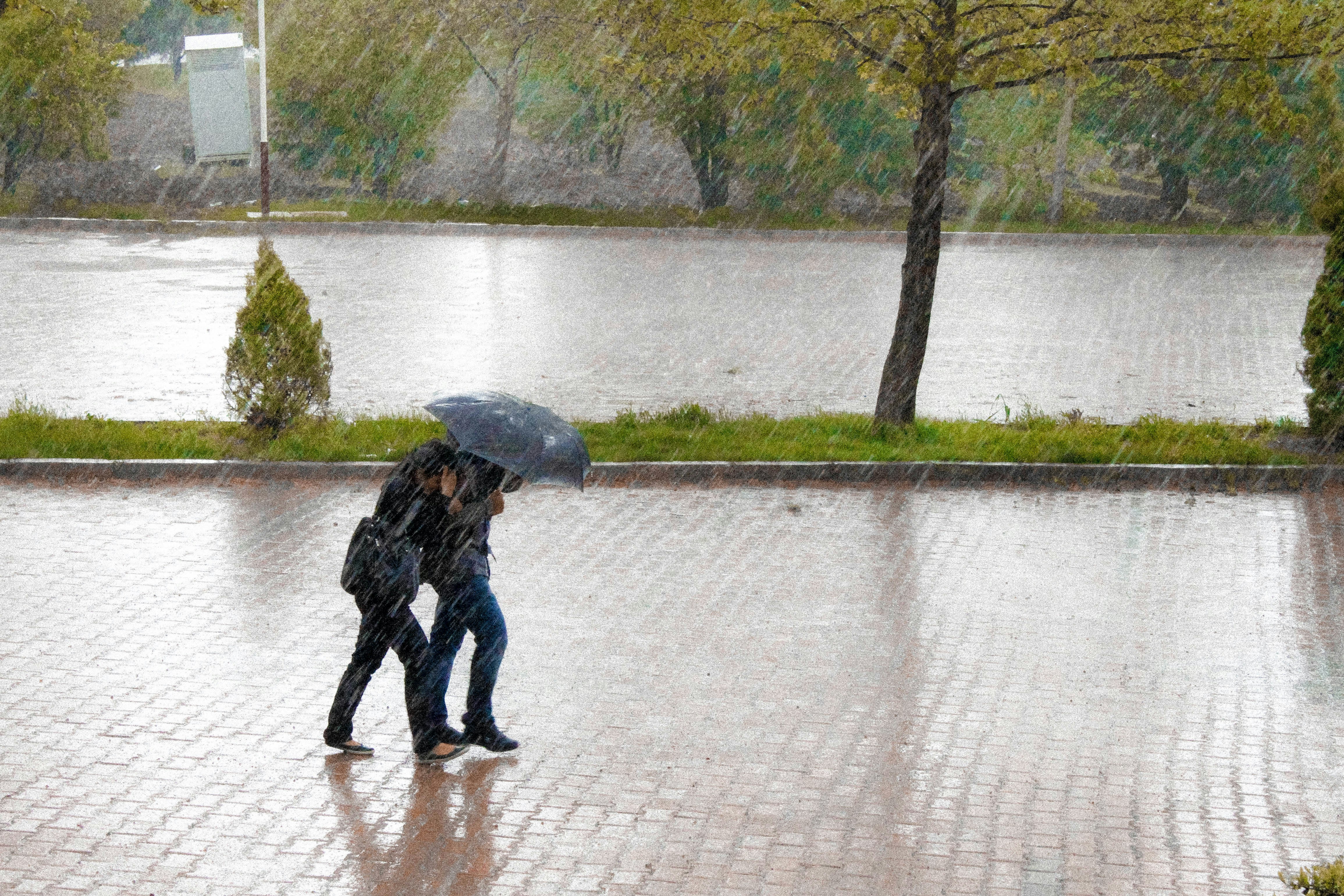 Couple walking in heavy rain Couple walking in heavy rain