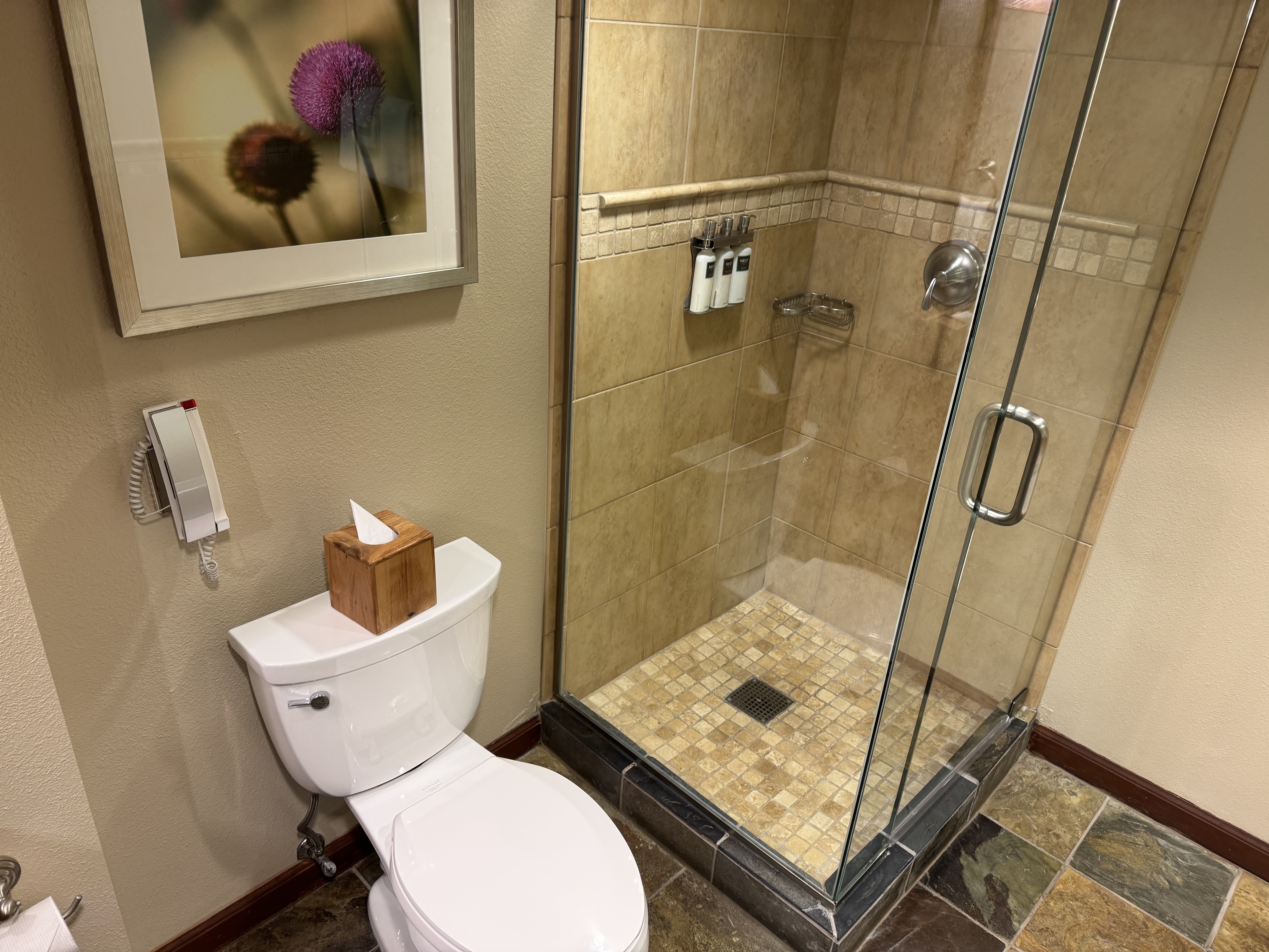 Everline Resort Spa Destination Hyatt Fireplace Suite Valley View bathroom shower toilet