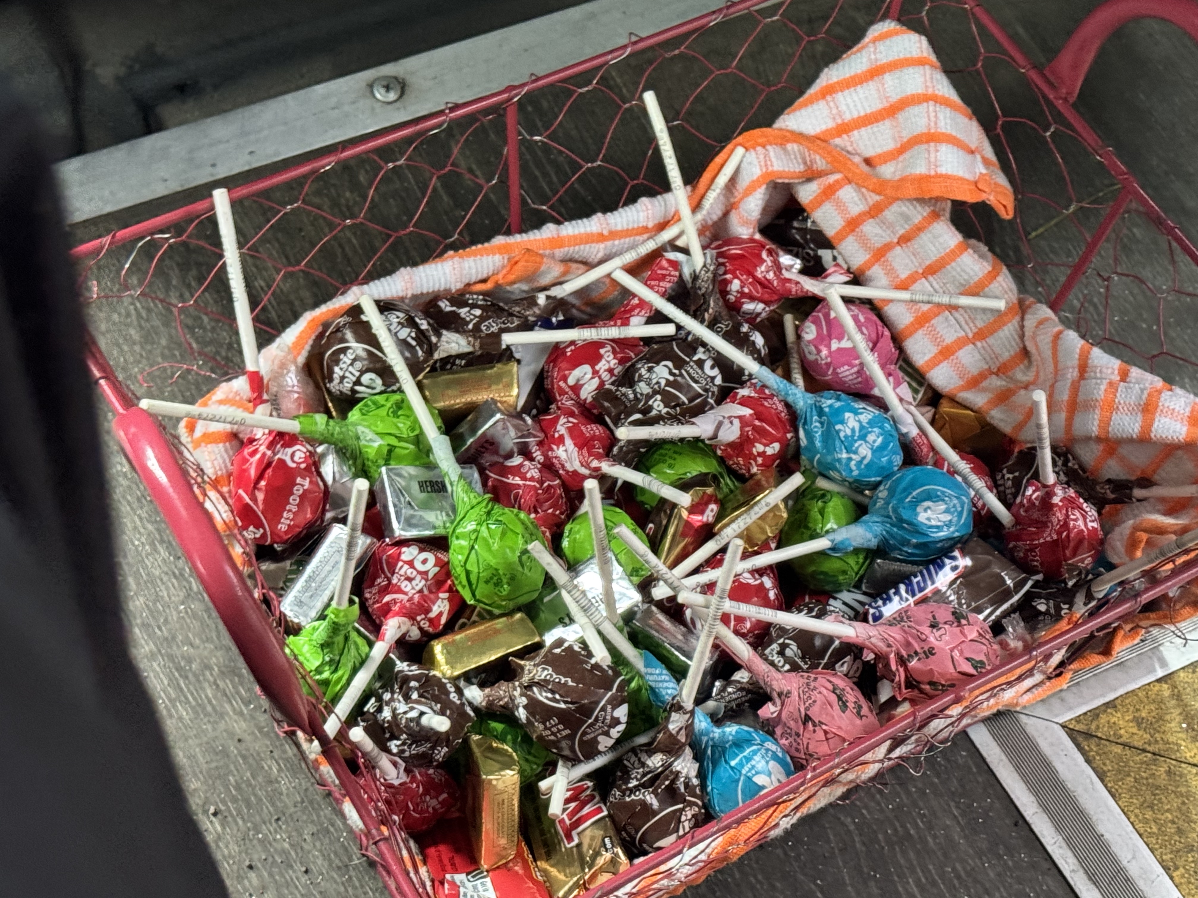 Everline Resort Spa Destination Hyatt candy in shuttle