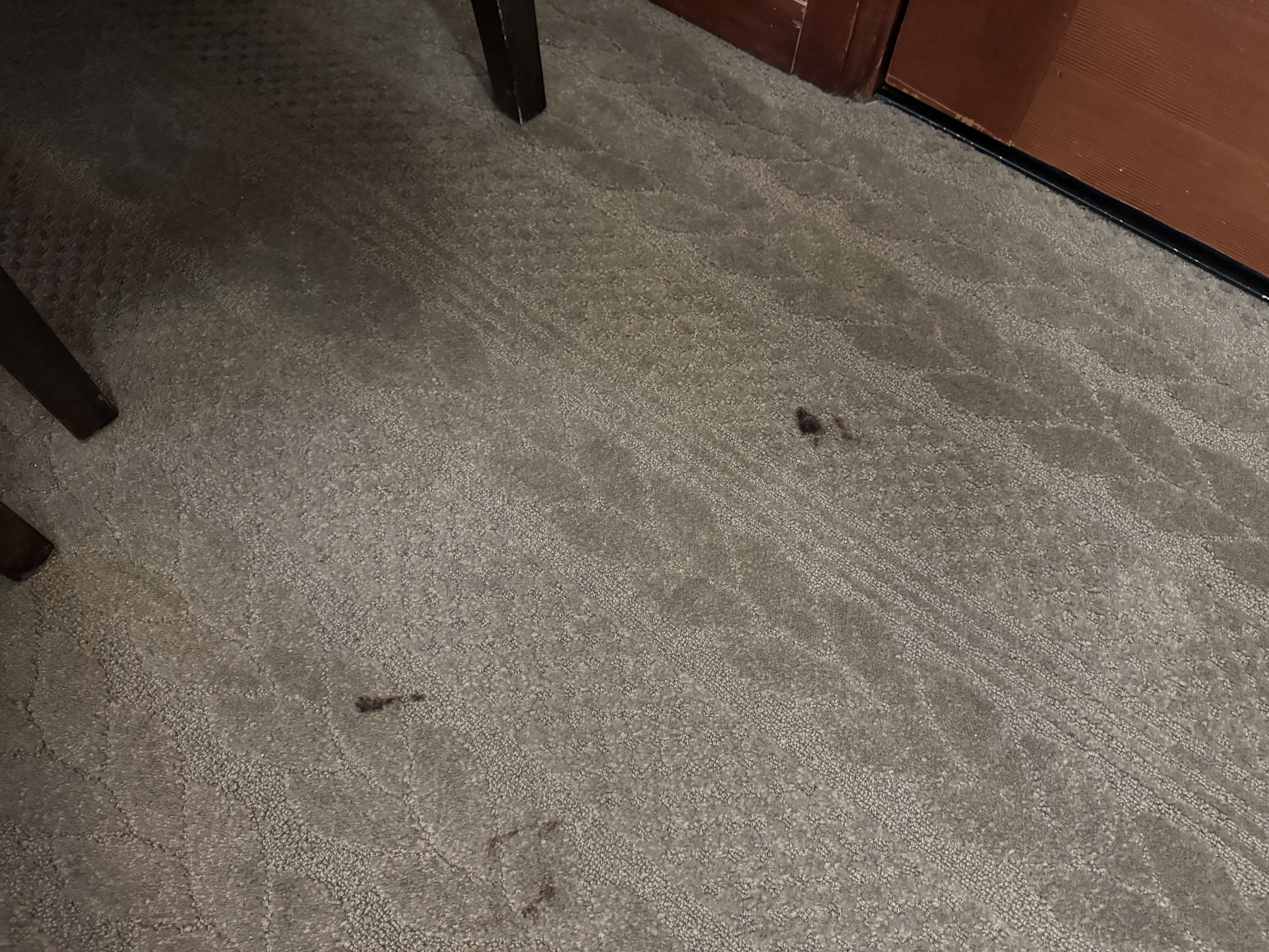 Everline Resort Spa Destination Hyatt living room carpet stains
