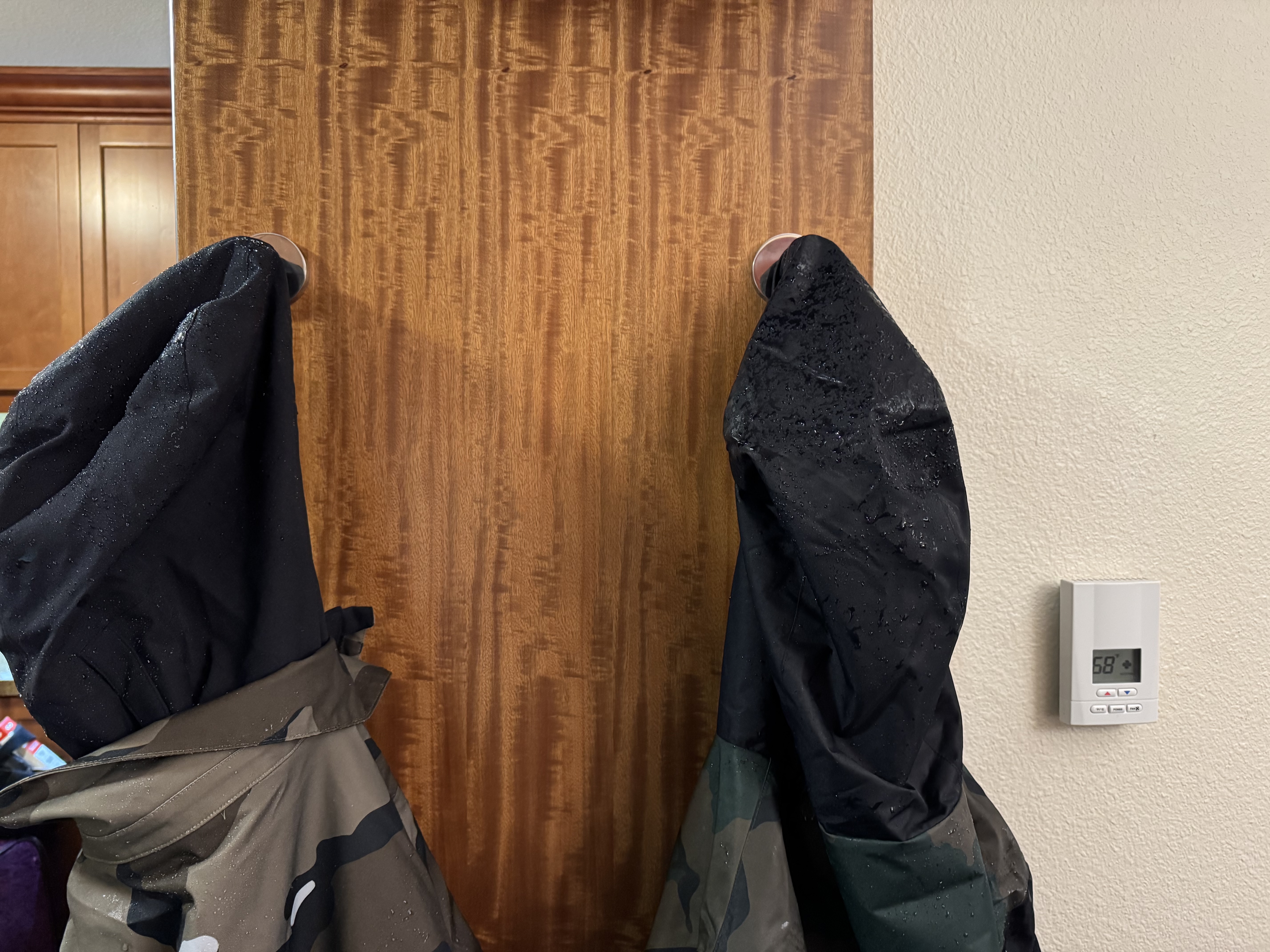 Everline Resort Spa Destination Hyatt living room coat hooks