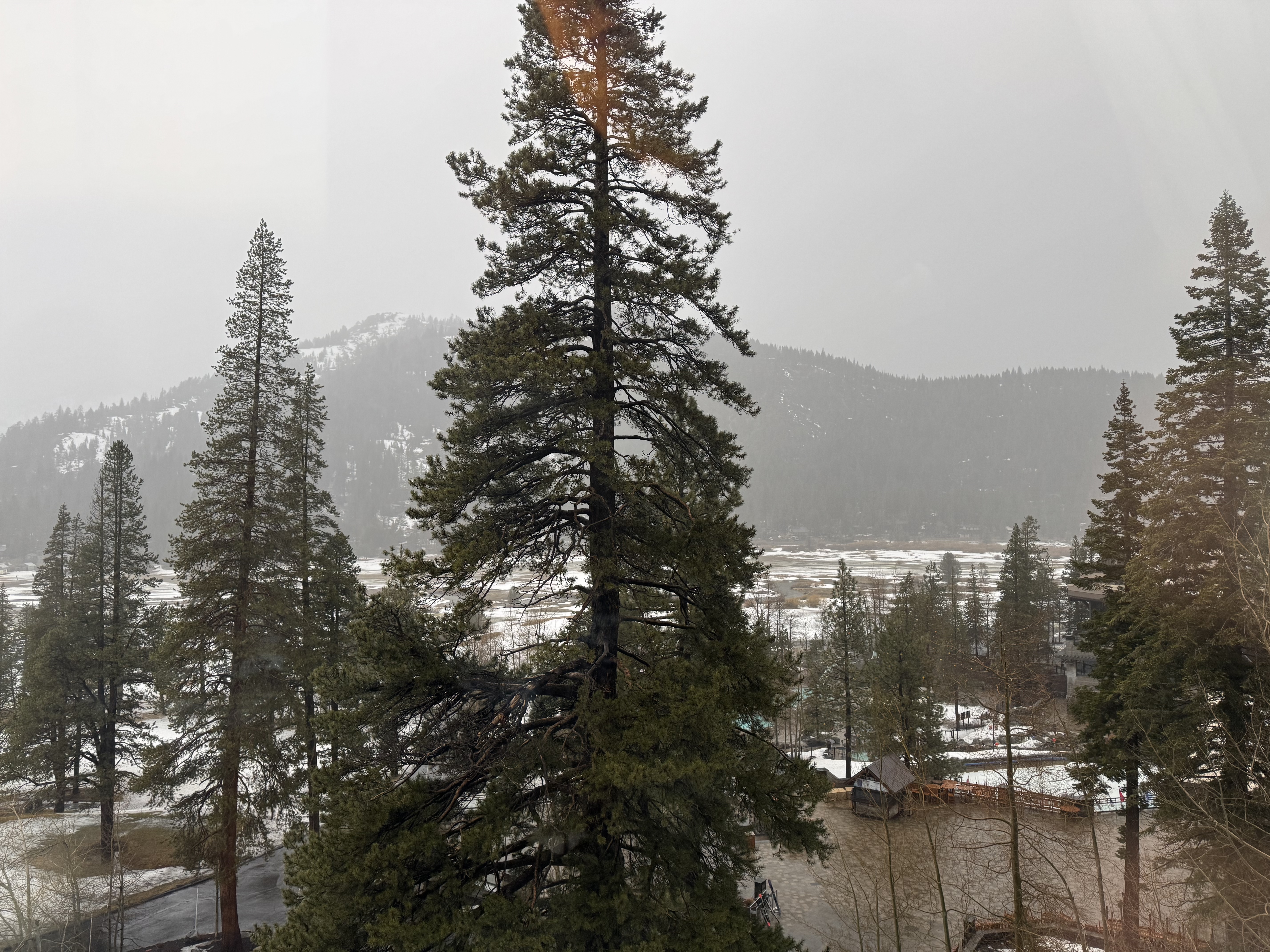 Everline Resort Spa Destination Hyatt living room view