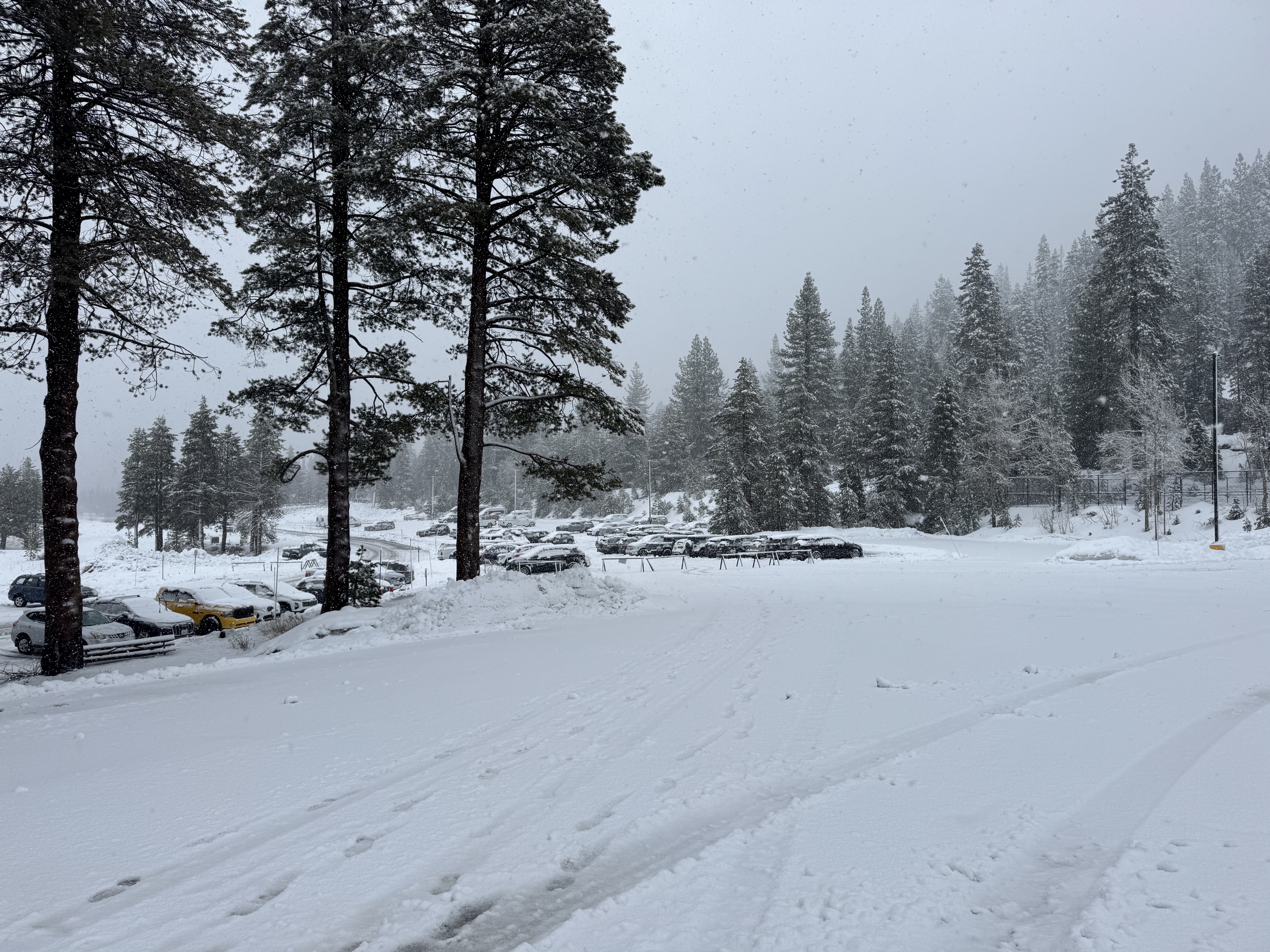 Everline Resort Spa Destination Hyatt parking lot