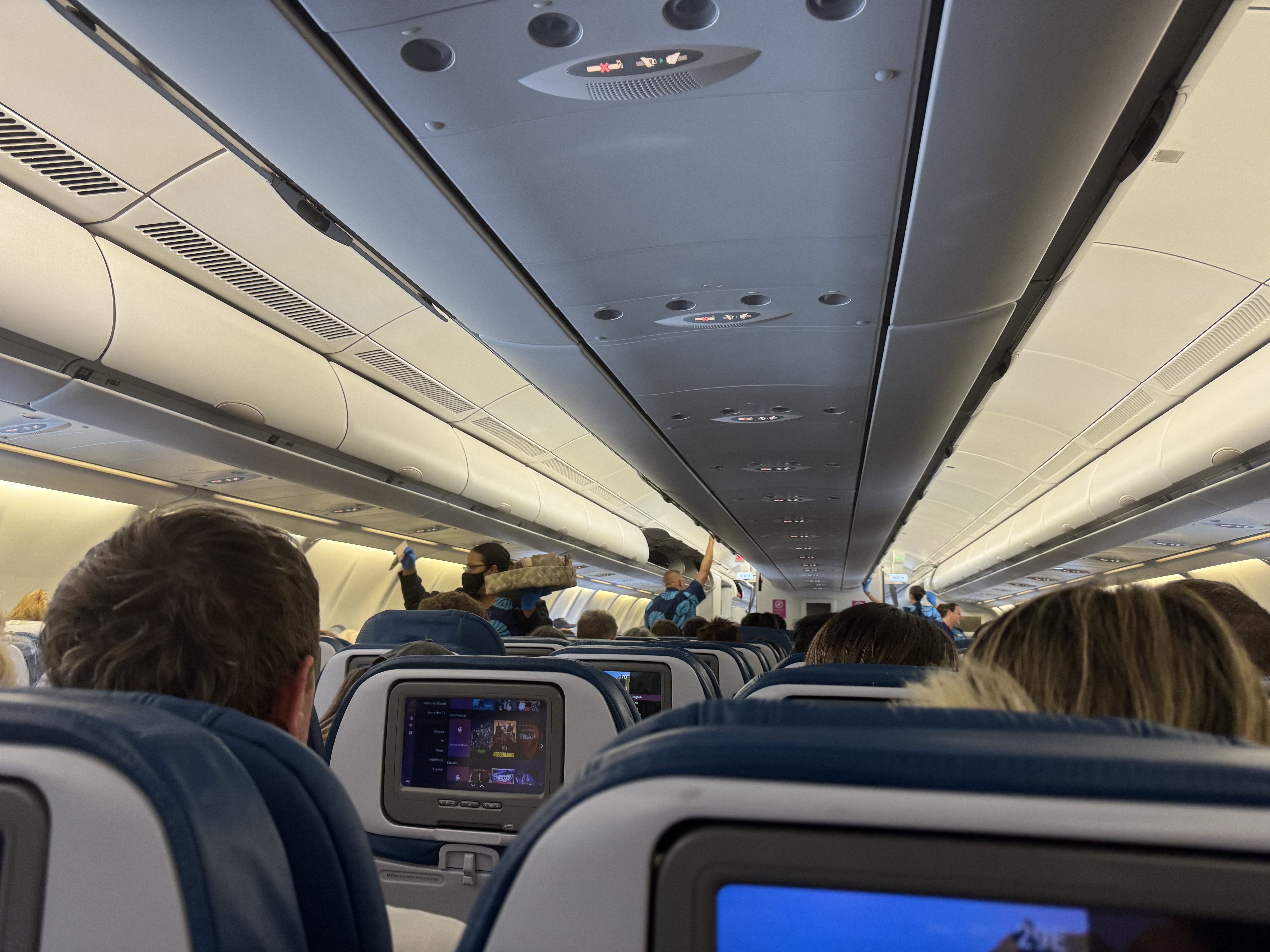 Hawaiian Airlines Flight Attendants