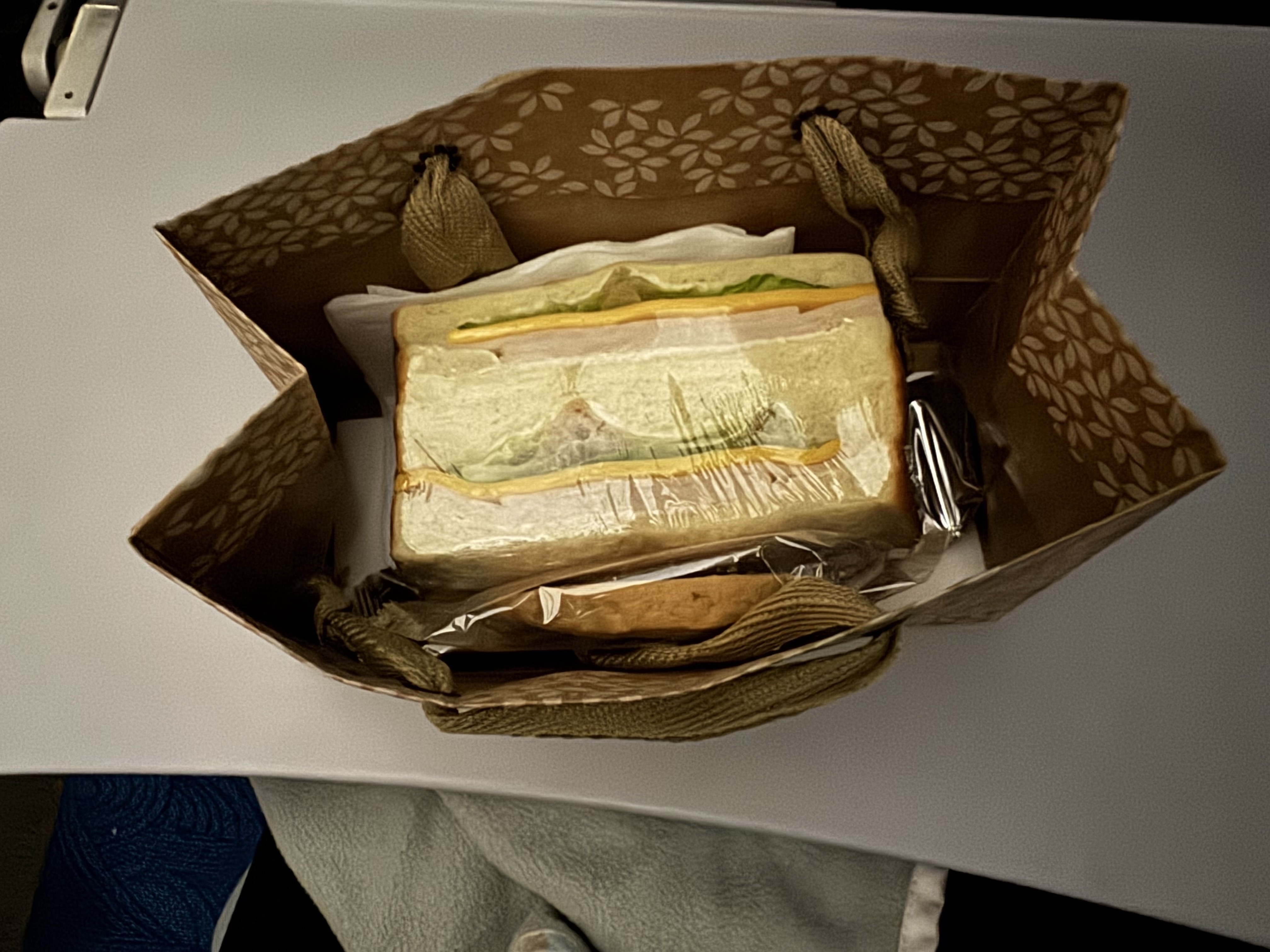 Hawaiian Airlines Sandwich Box