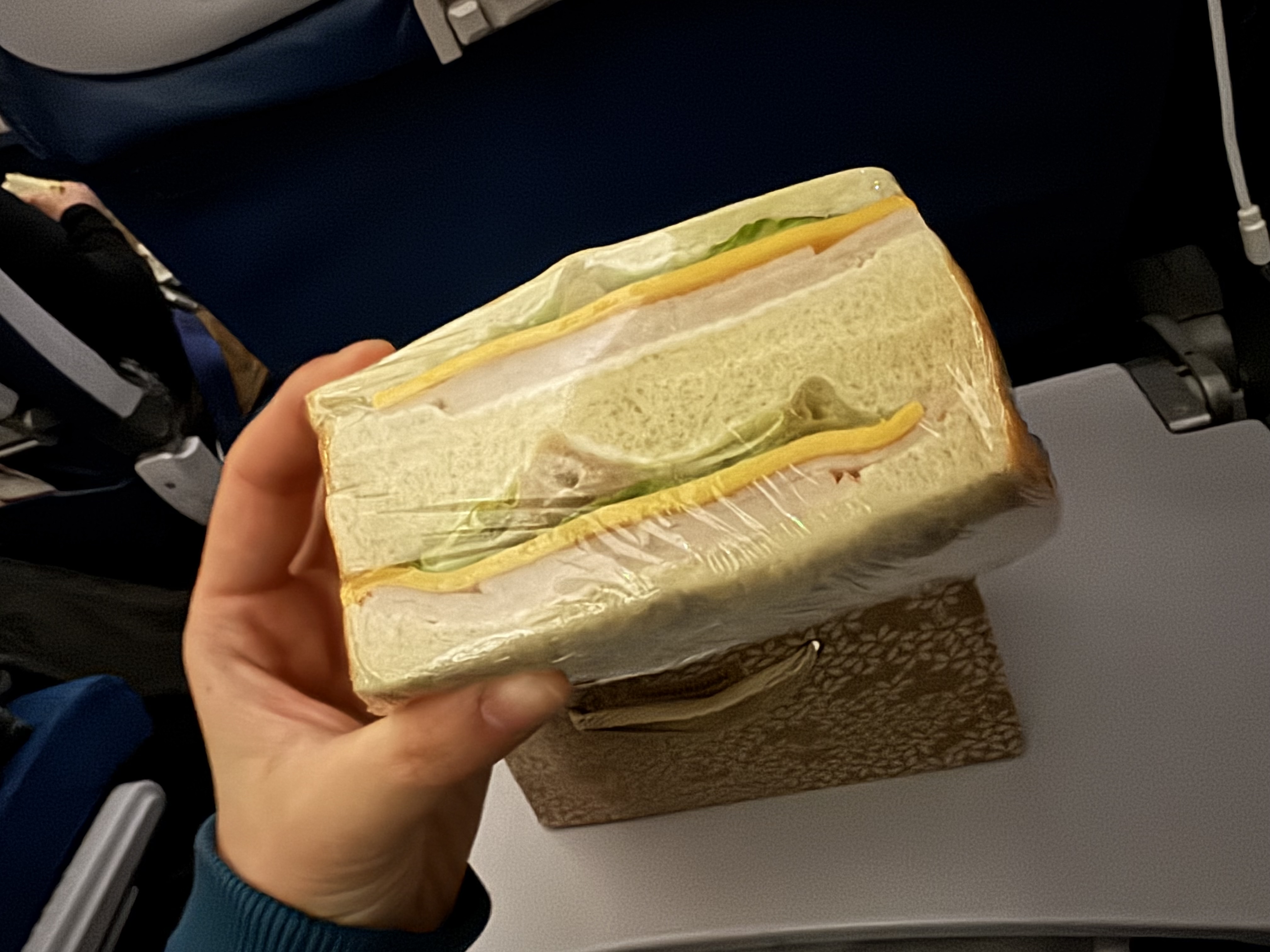 Hawaiian Airlines Suspicious Sandwich