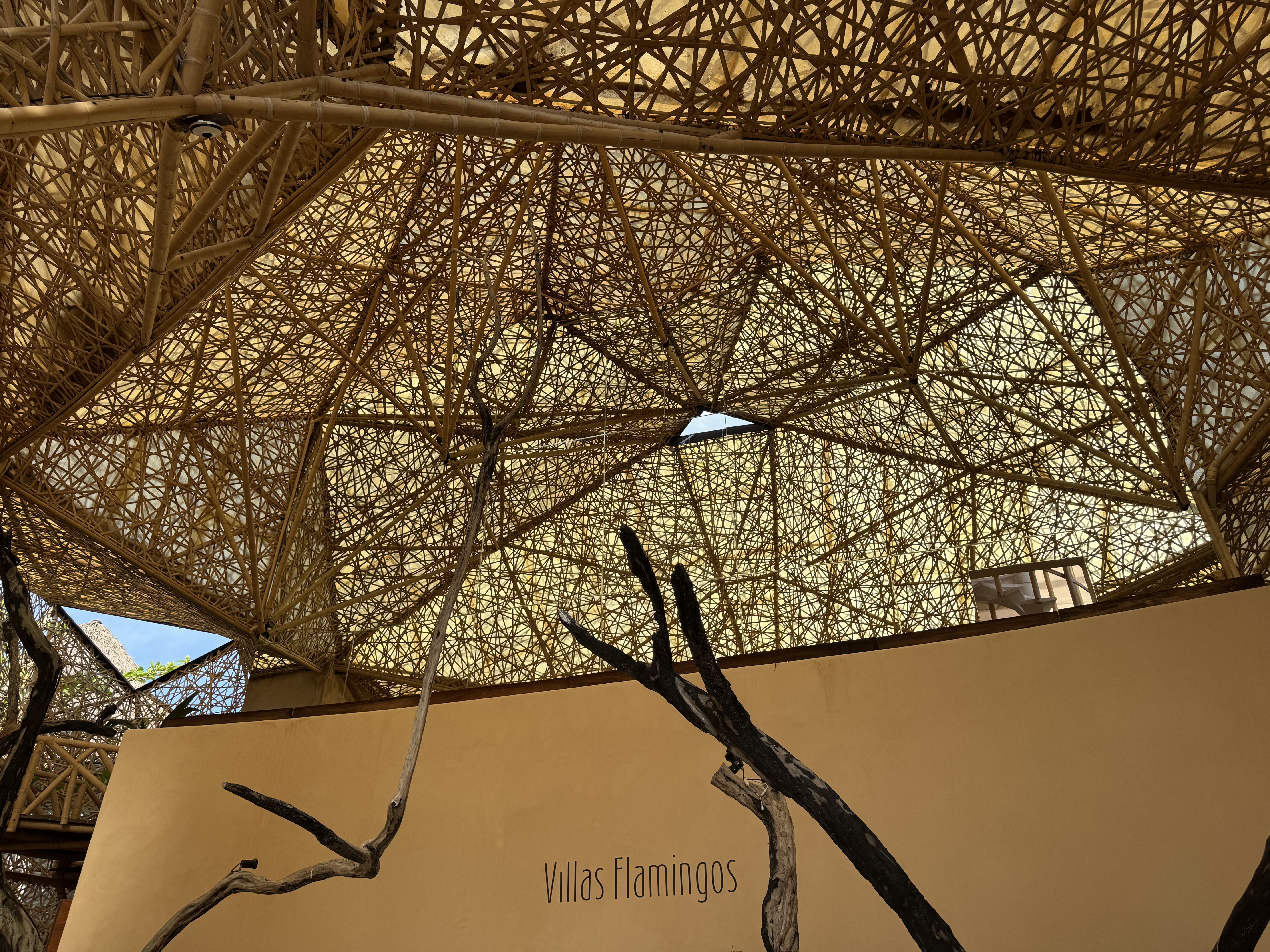 Hotel Villas Flamingos lobby overhead design