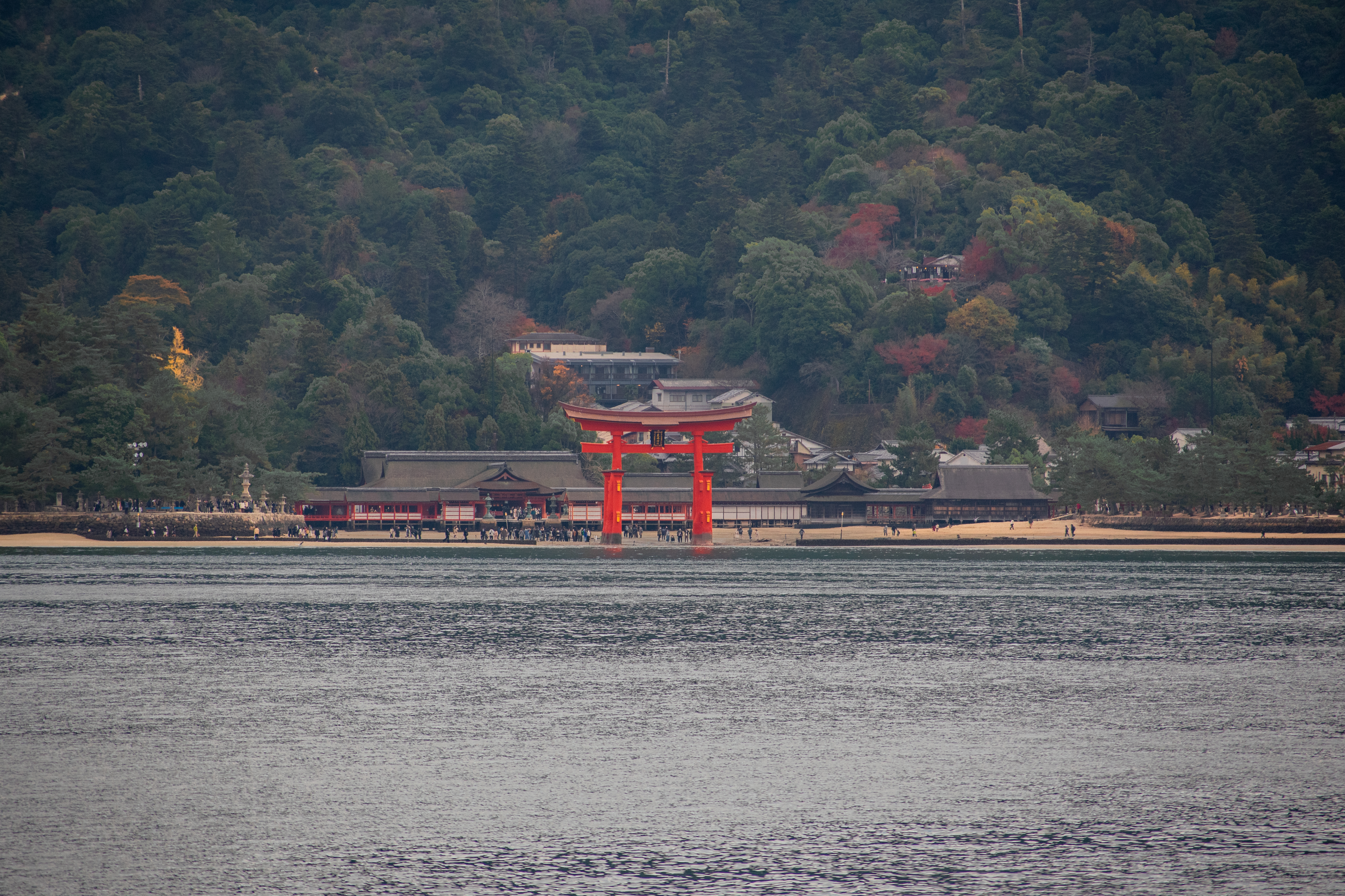 Miyajima island, Japan Miyajima island, Japan