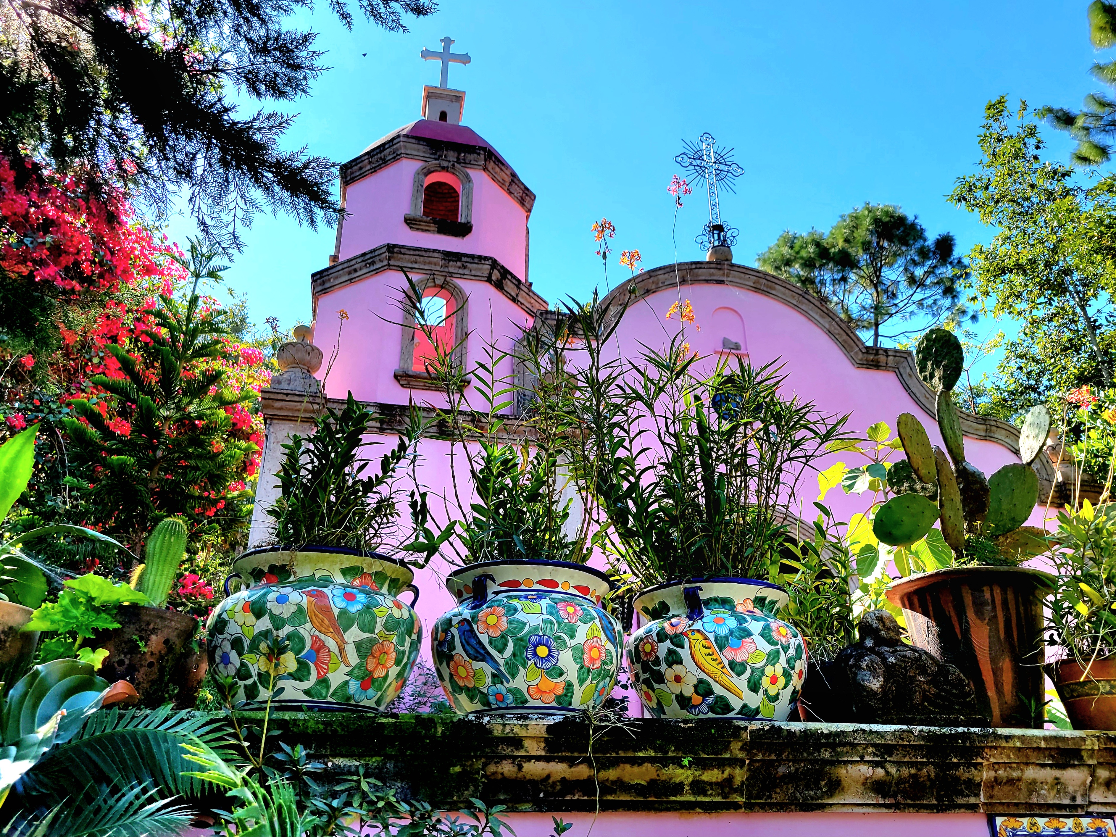 Puerto Vallarta Botanical Garden