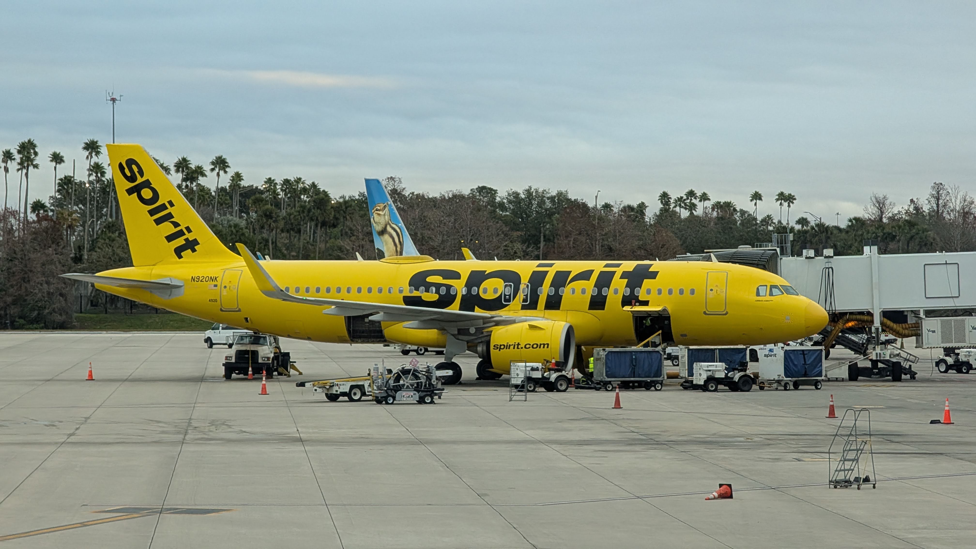 Spirit Airlines at MCO