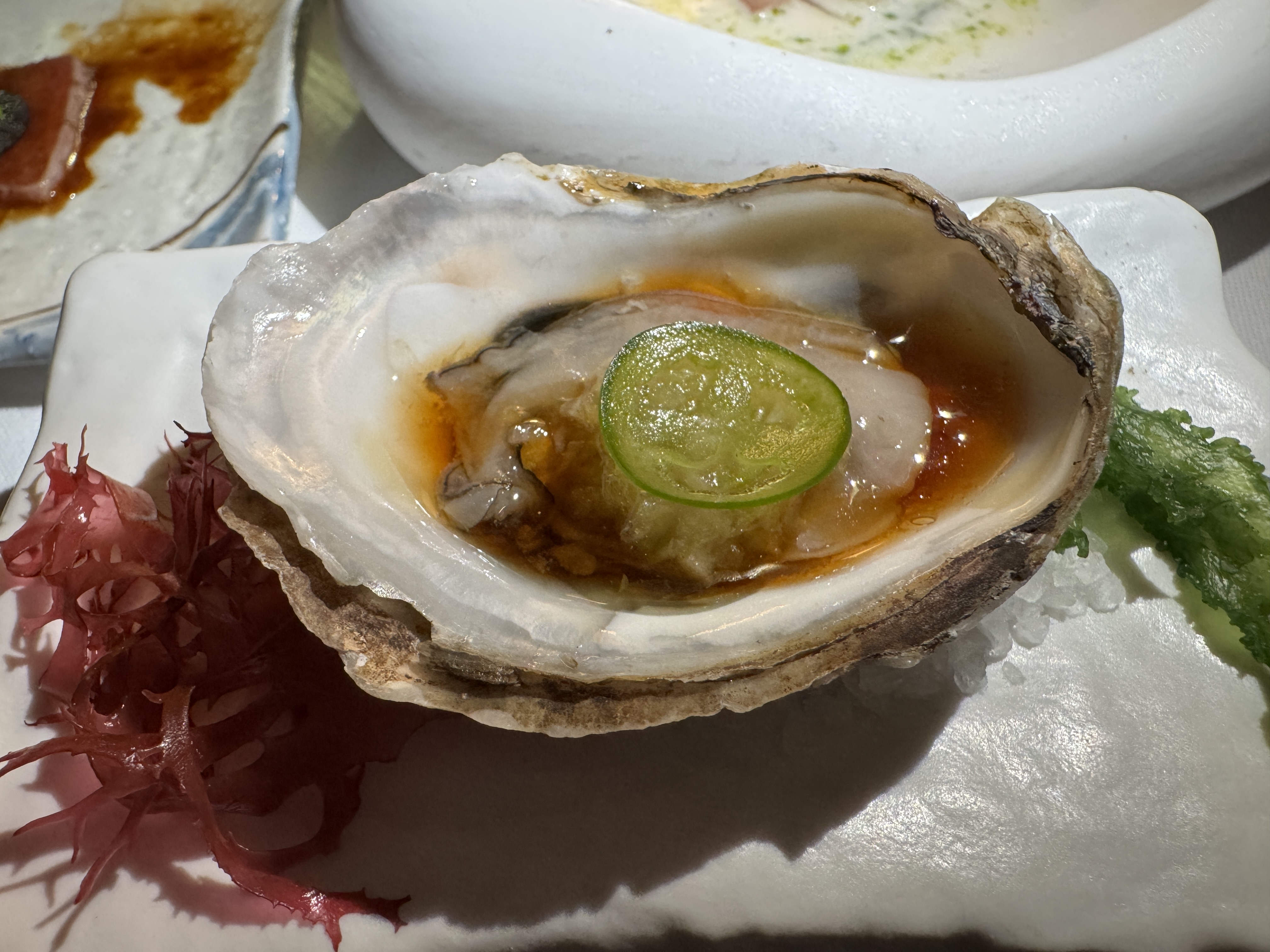 The Lido Four Seasons Surf Club Oyster The Lido Four Seasons Surf Club Oyster