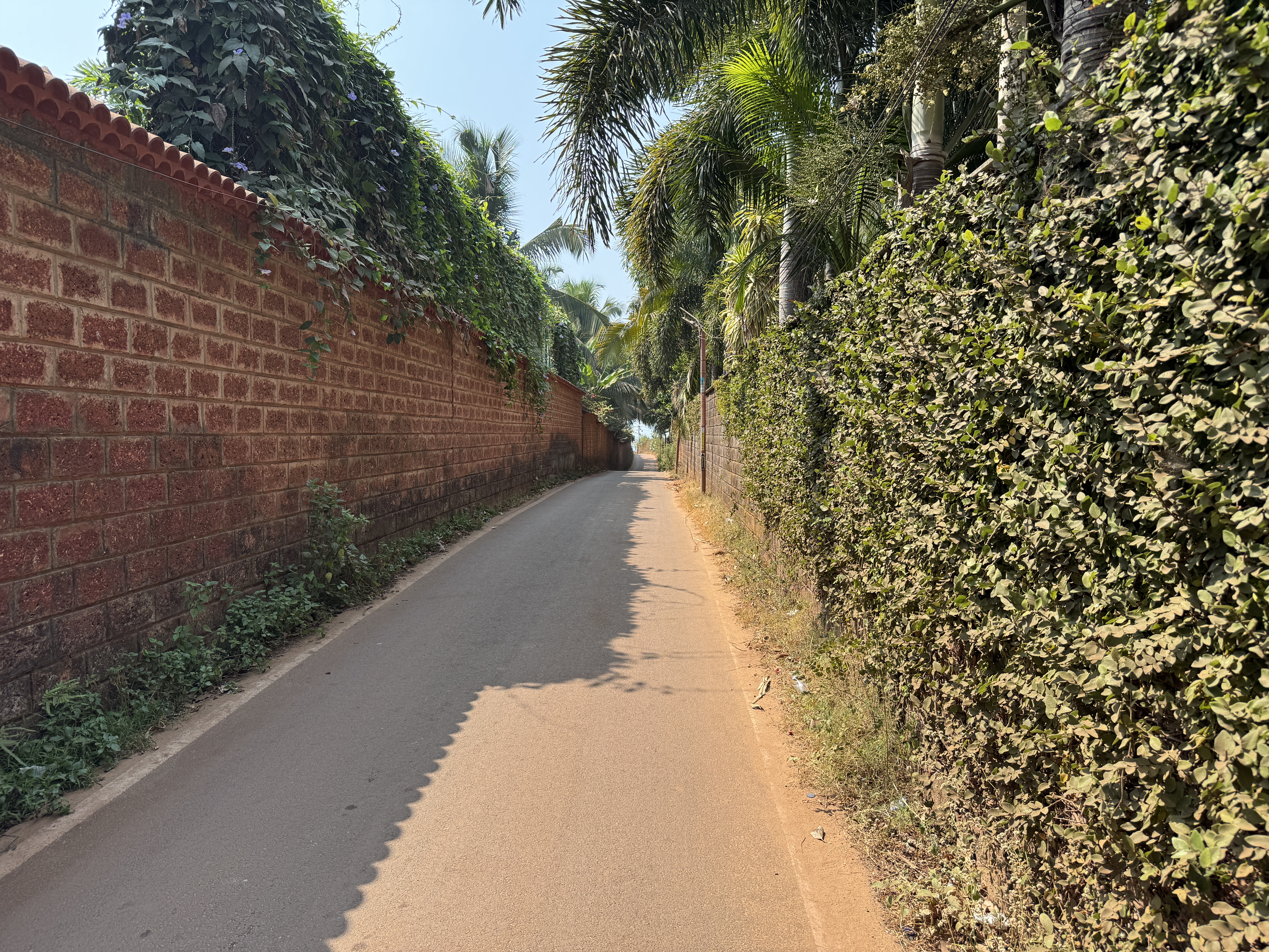 Walk to Calangute Beach Walk to Calangute Beach