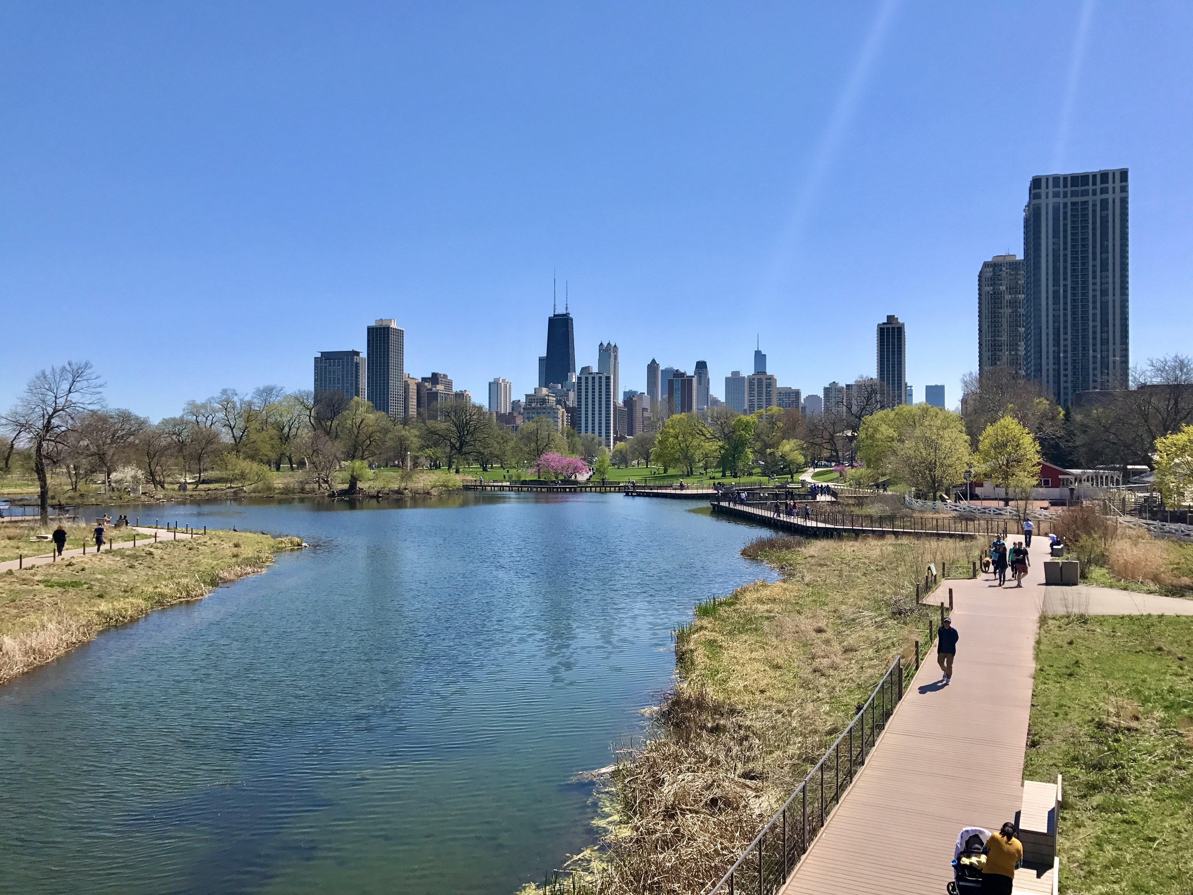Chicago Skyline From Lincoln Park Chicago Skyline From Lincoln Park