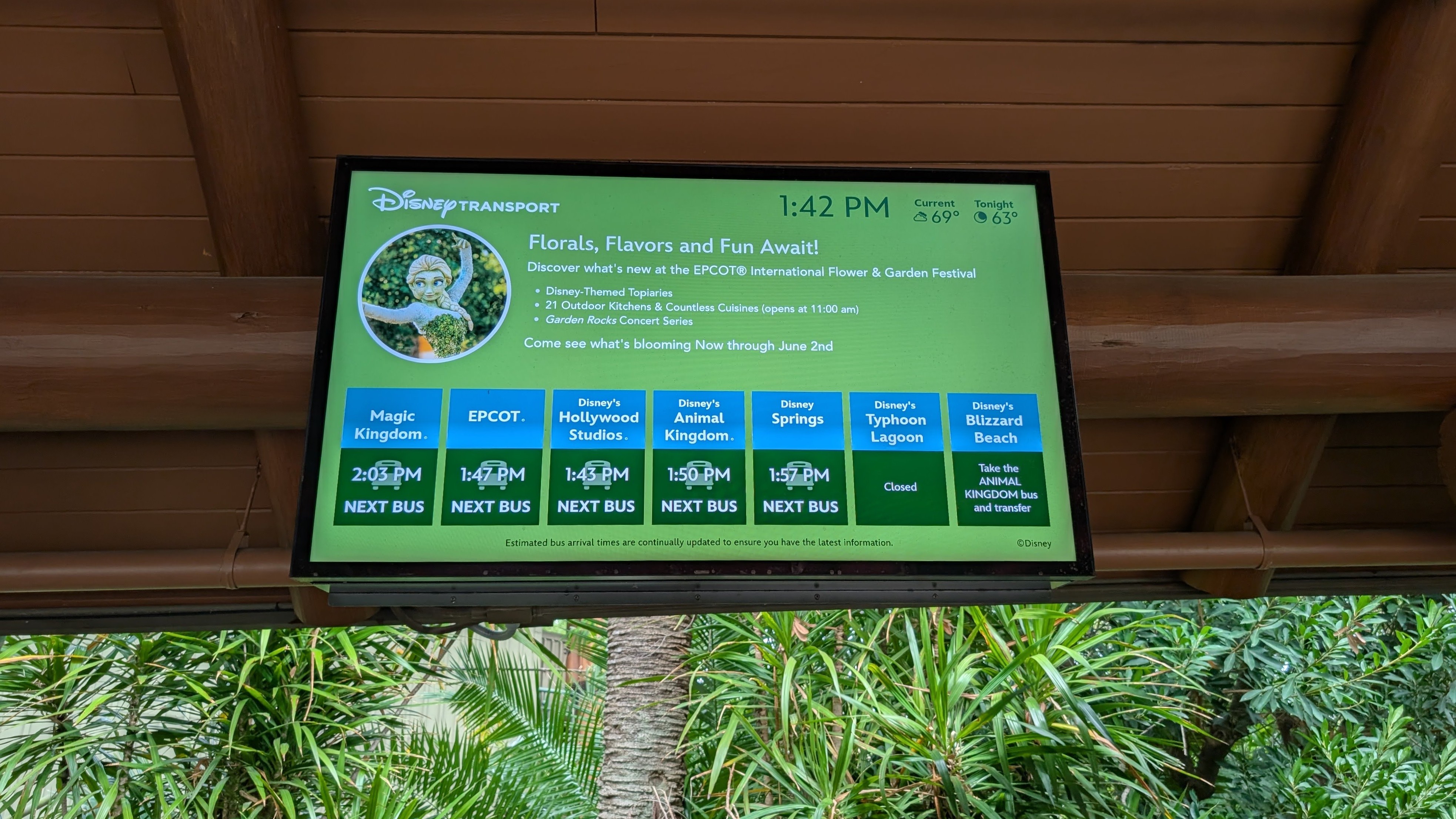 Disneys Animal Kingdom Lodge amenities bus transportation wait times Disneys Animal Kingdom Lodge amenities bus transportation wait times