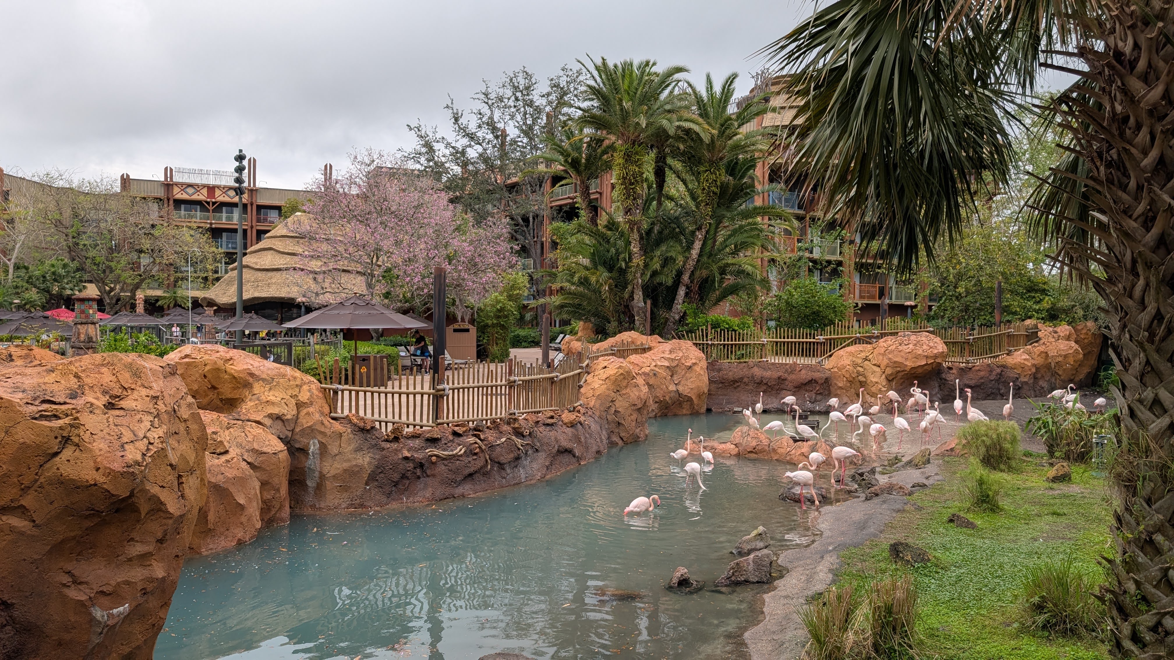 Disneys Animal Kingdom Lodge amenities savanna flamingos