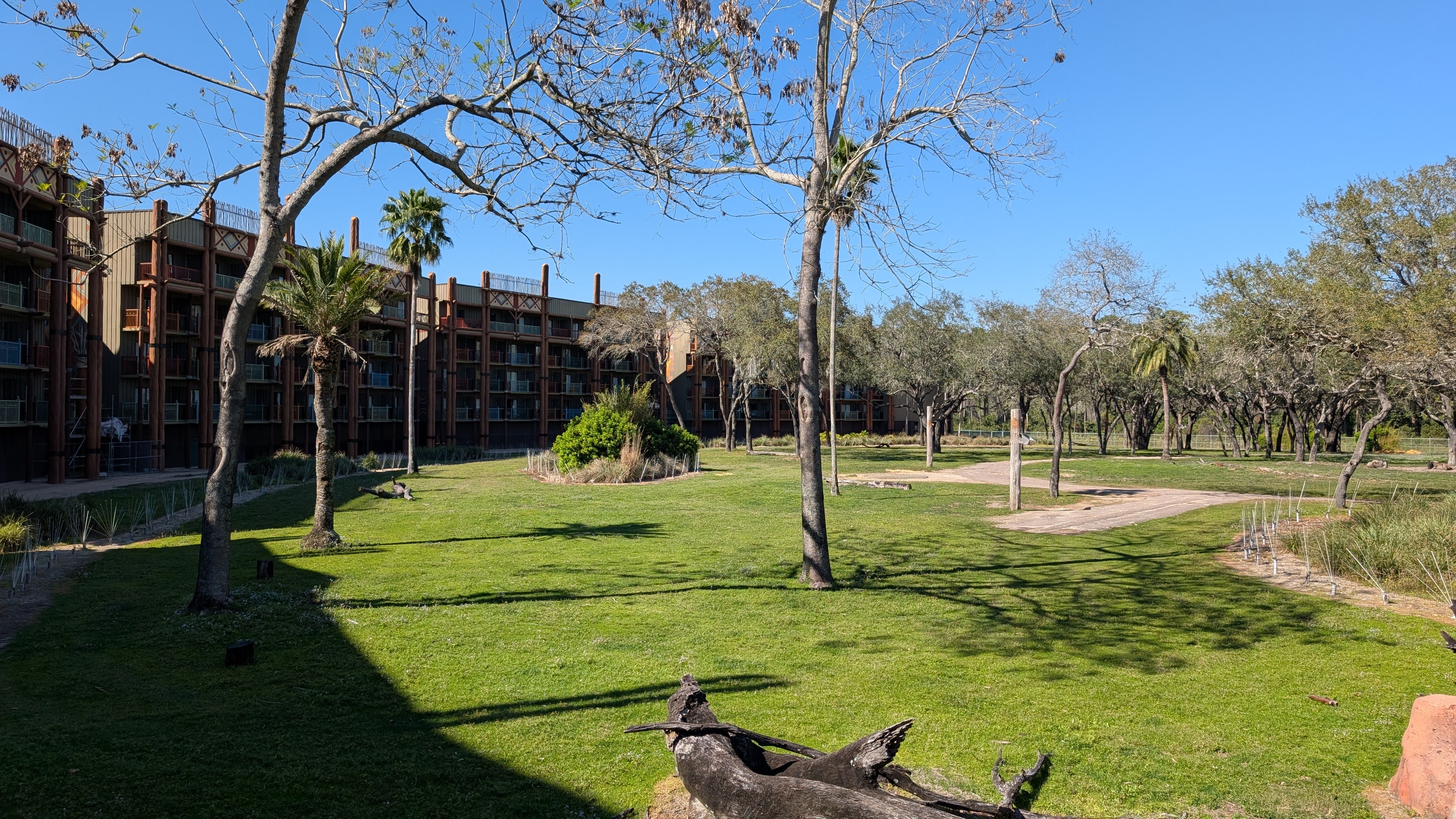 Disneys Animal Kingdom Lodge amenities savanna view