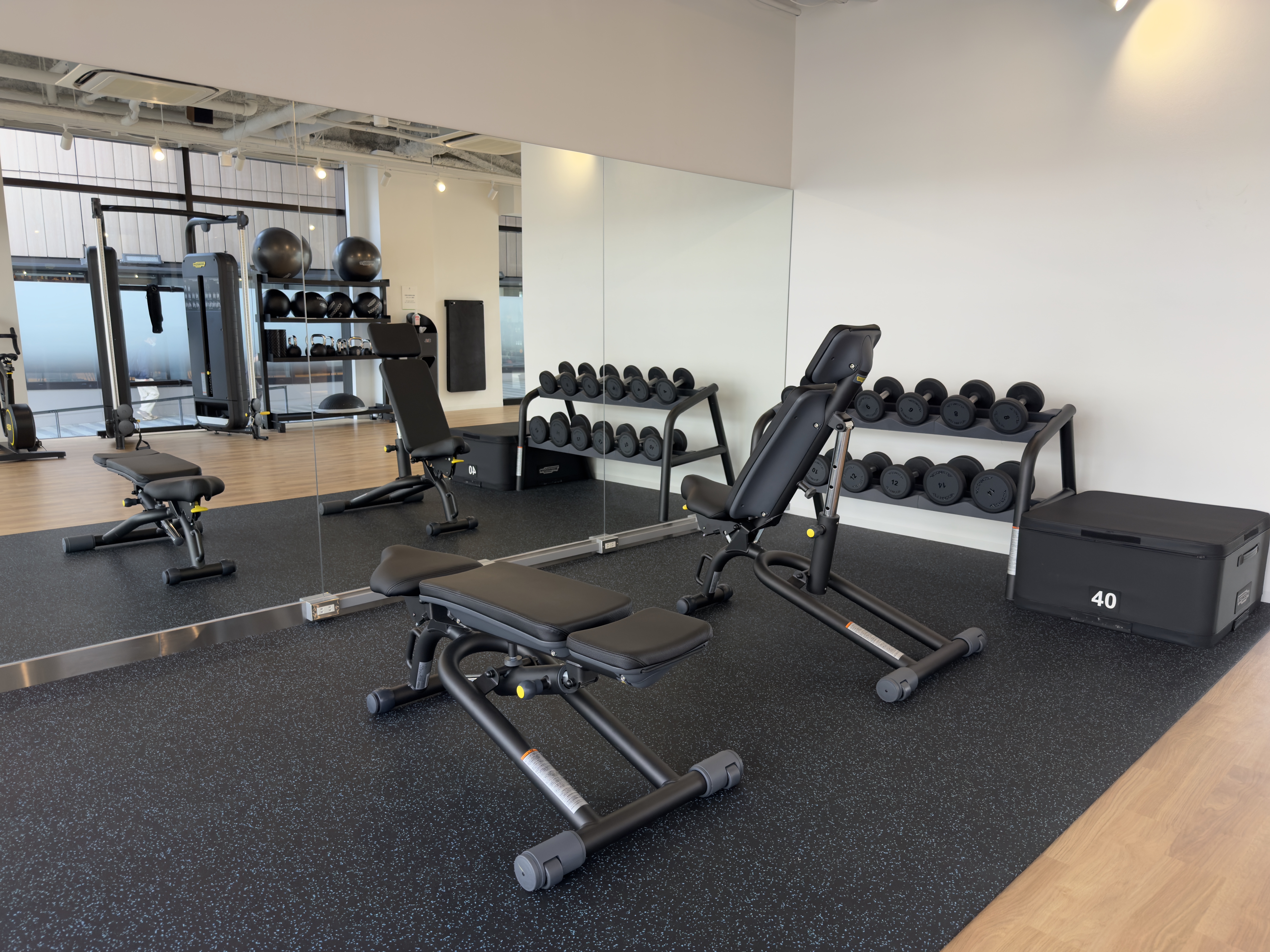 DoubleTree by Hilton Tokyo Ariake free weights DoubleTree by Hilton Tokyo Ariake free weights