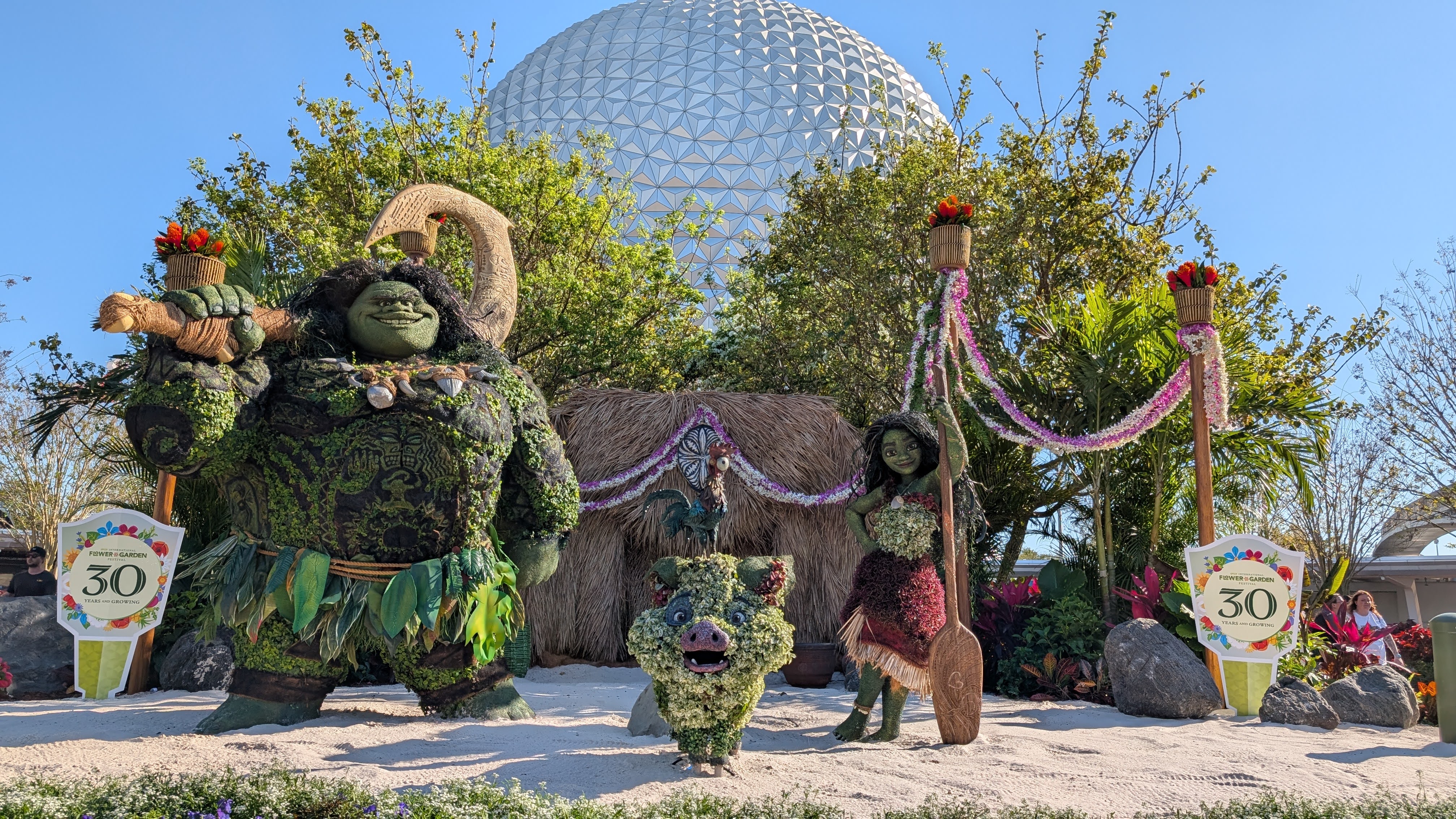 Epcot Flower and Garden Festival Moana topiary Epcot Flower and Garden Festival Moana topiary