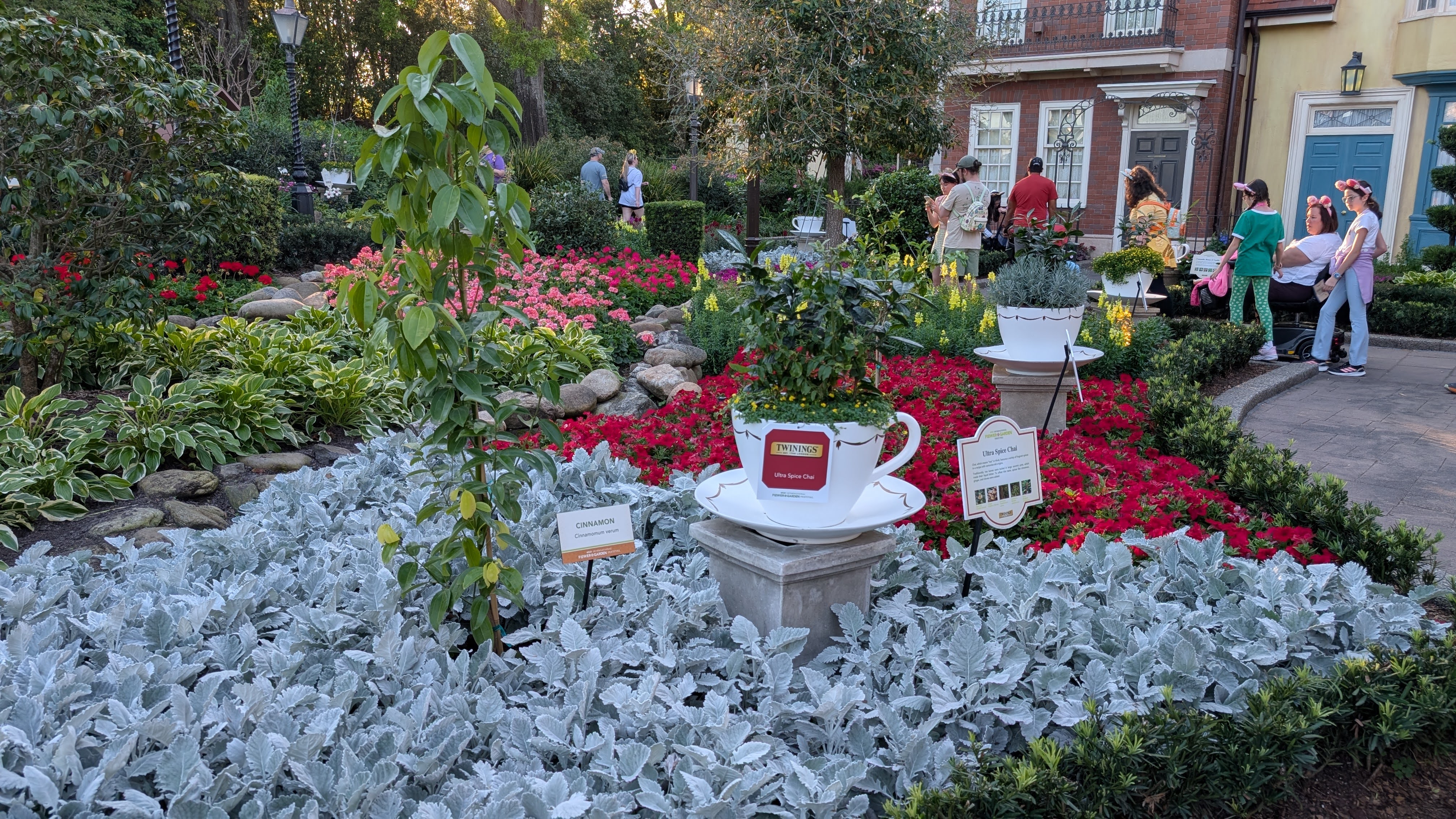 Epcot Flower and Garden Festival tea garden Epcot Flower and Garden Festival tea garden