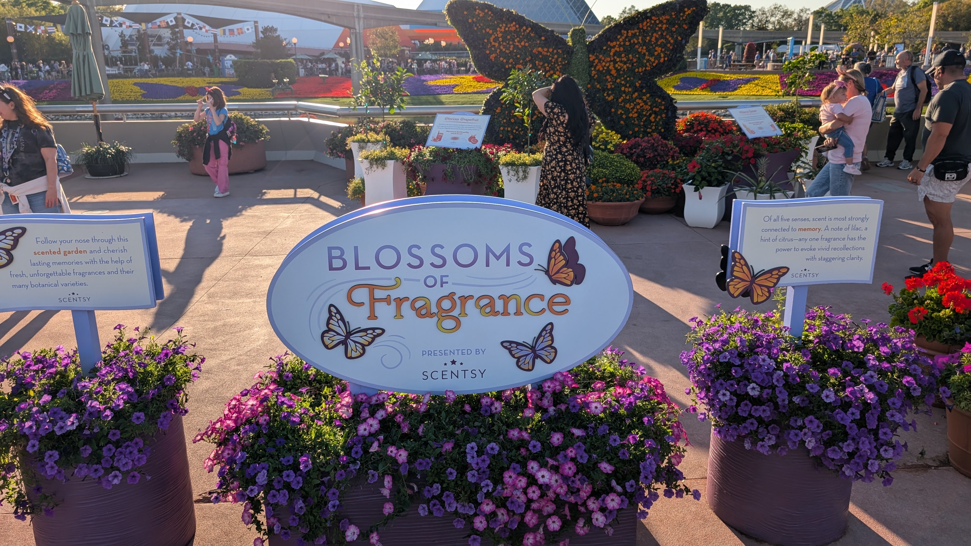 Epcot International Flower and Garden Festival Blossoms of Fragrance Epcot International Flower and Garden Festival Blossoms of Fragrance