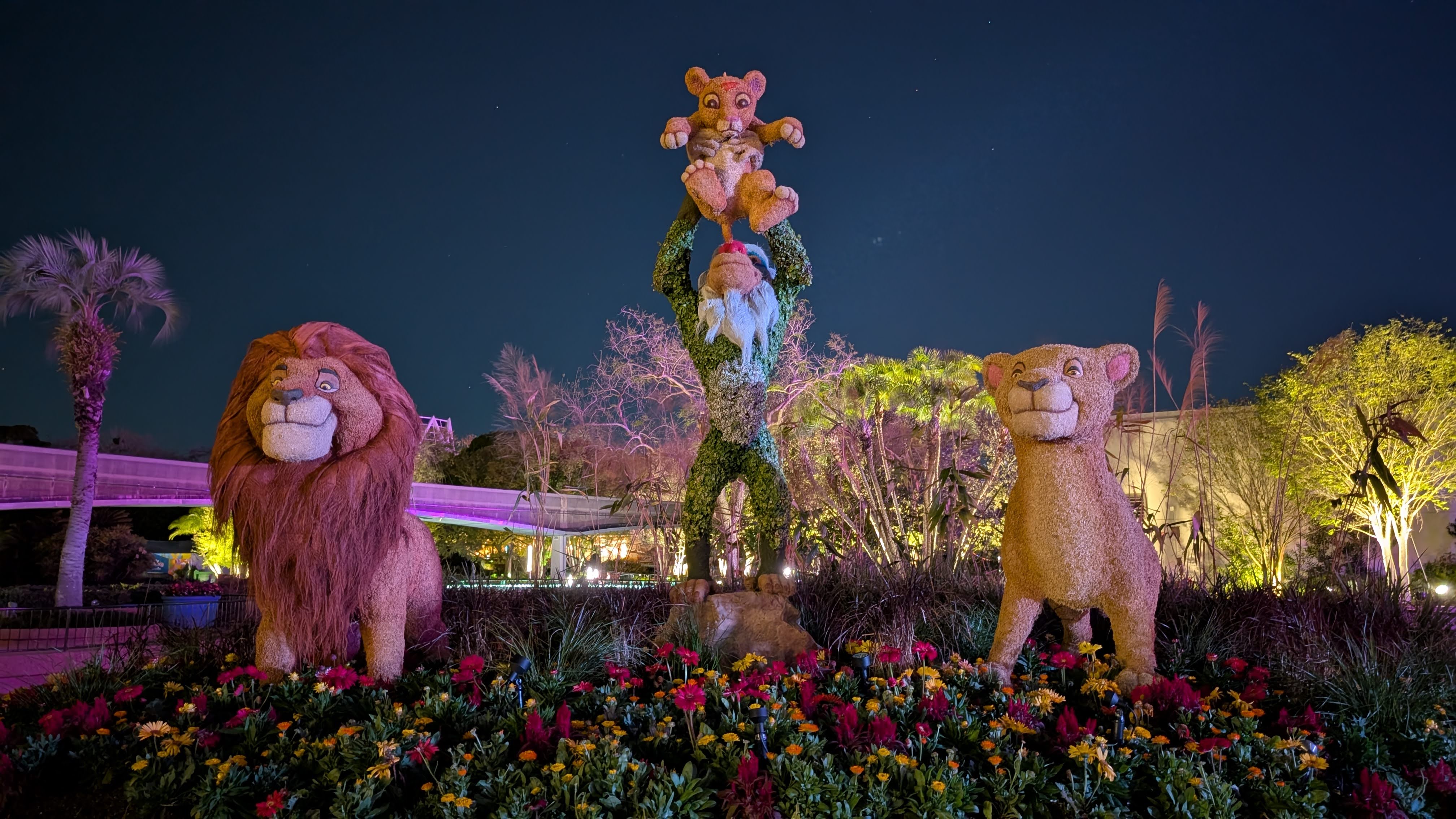 Epcot International Flower and Garden Festival Lion King topiary Epcot International Flower and Garden Festival Lion King topiary