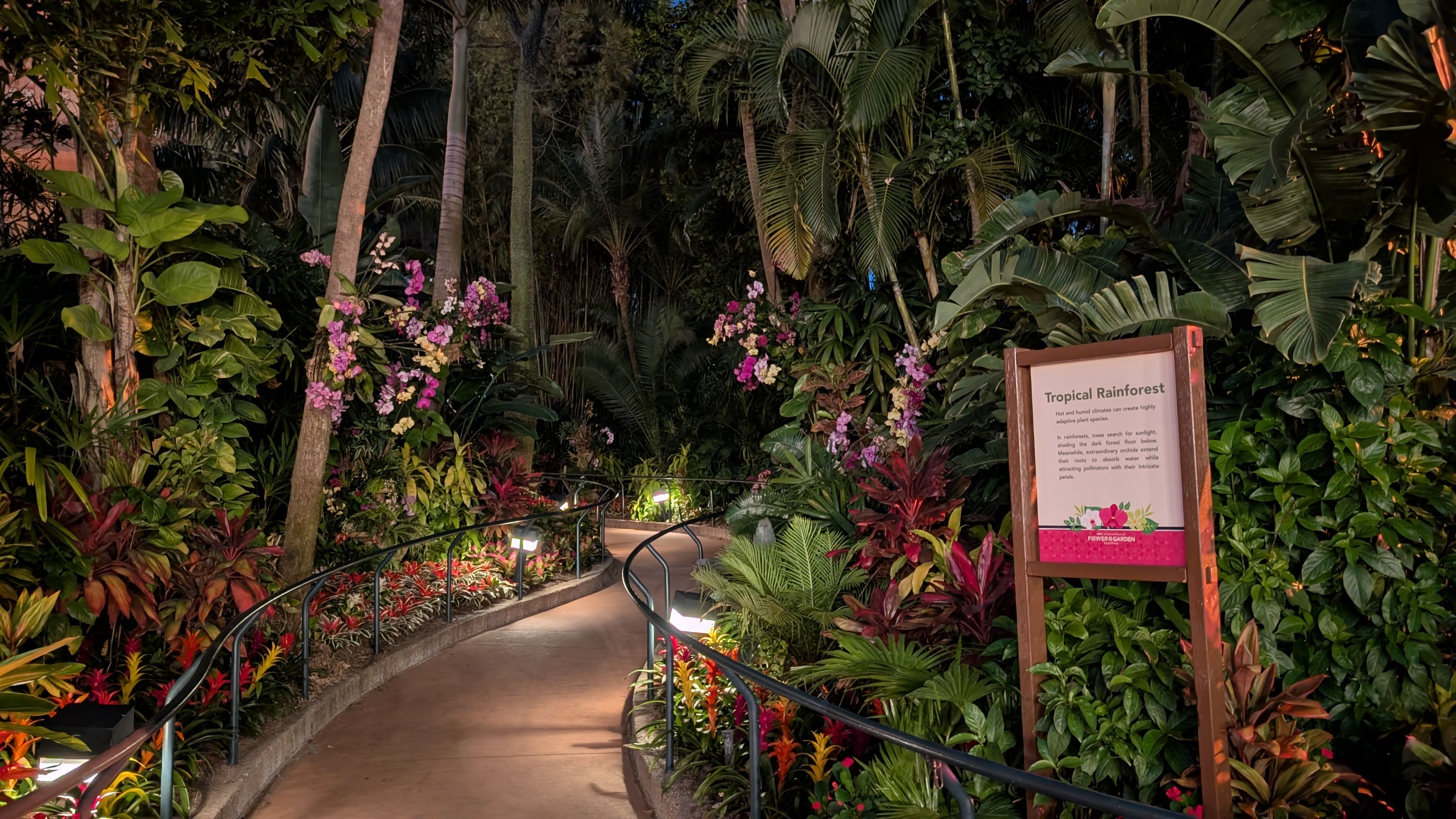 Epcot International Flower and Garden Festival Tropical Rainforest garden Epcot International Flower and Garden Festival Tropical Rainforest garden
