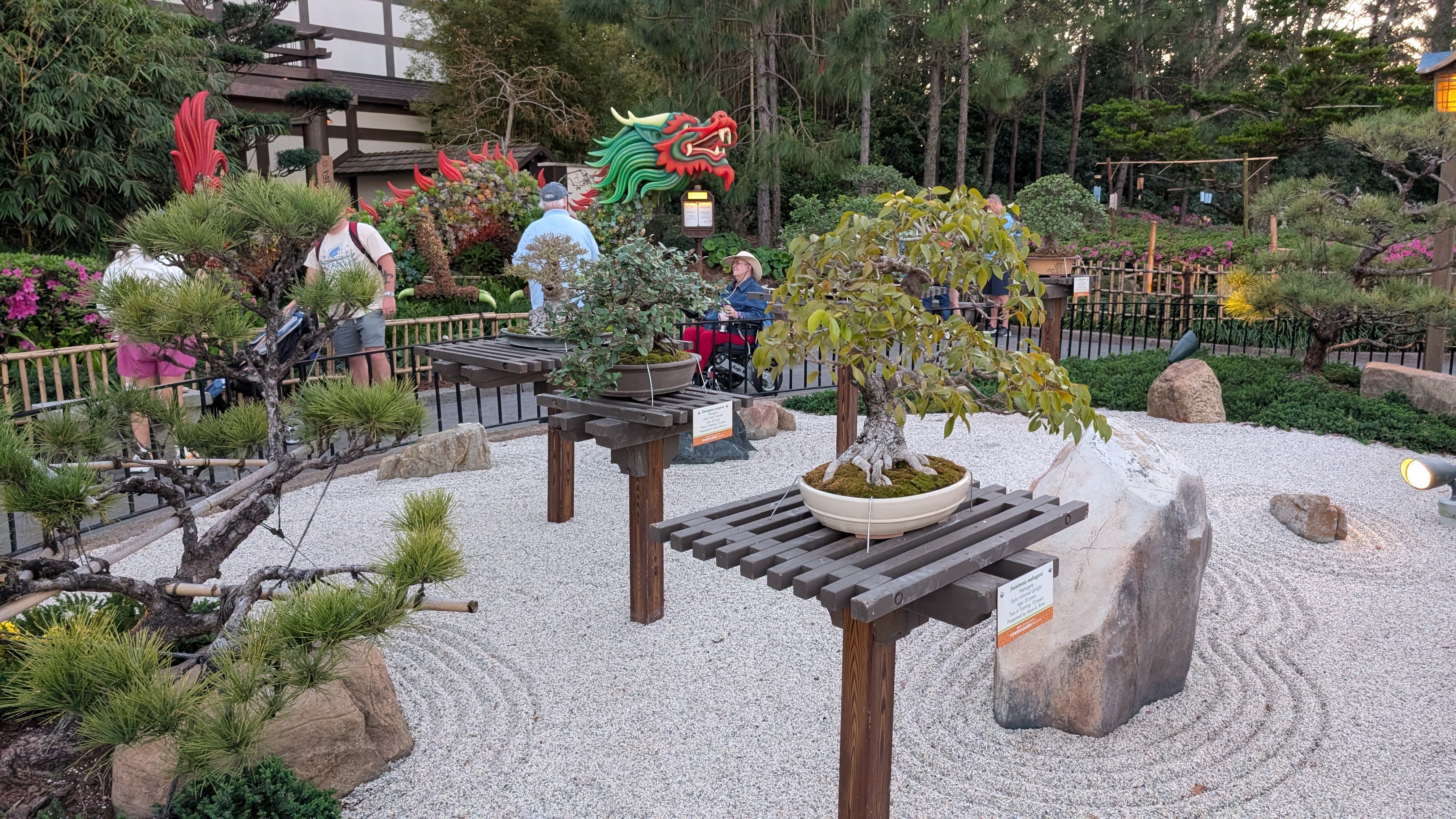 Epcot International Flower and Garden Festival bonsai garden Epcot International Flower and Garden Festival bonsai garden