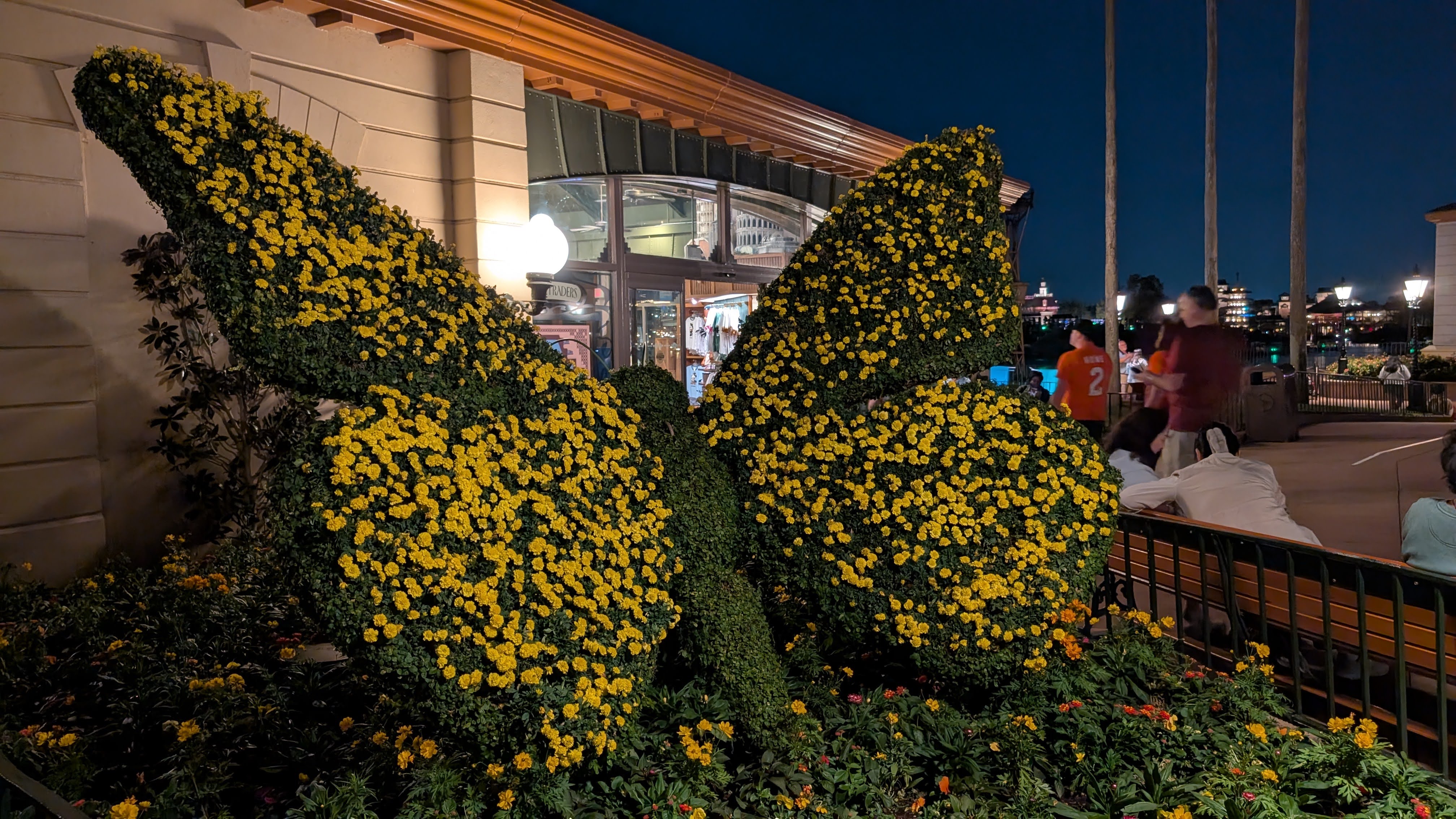 Epcot International Flower and Garden Festival butterflies Epcot International Flower and Garden Festival butterflies