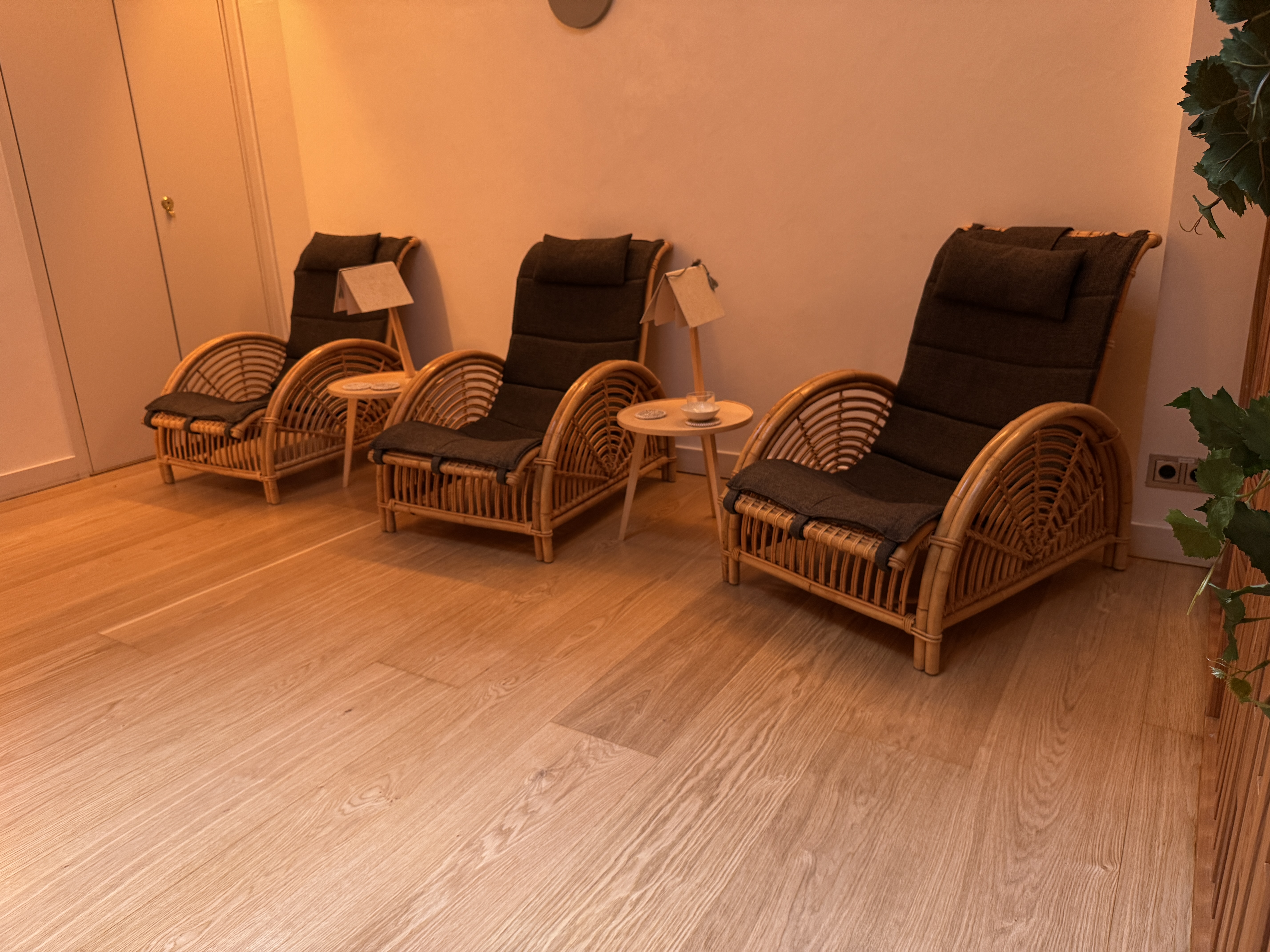Hotel St George spa relax chairs Hotel St George spa relax chairs